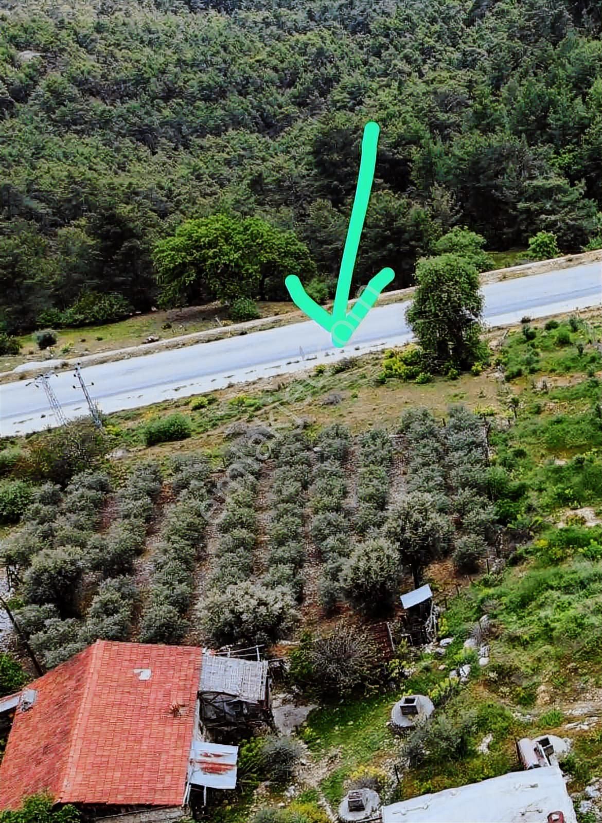 Kaş Mega Dan Çeşme Mahallesin De Yola Cephe 320 M2 Parsel