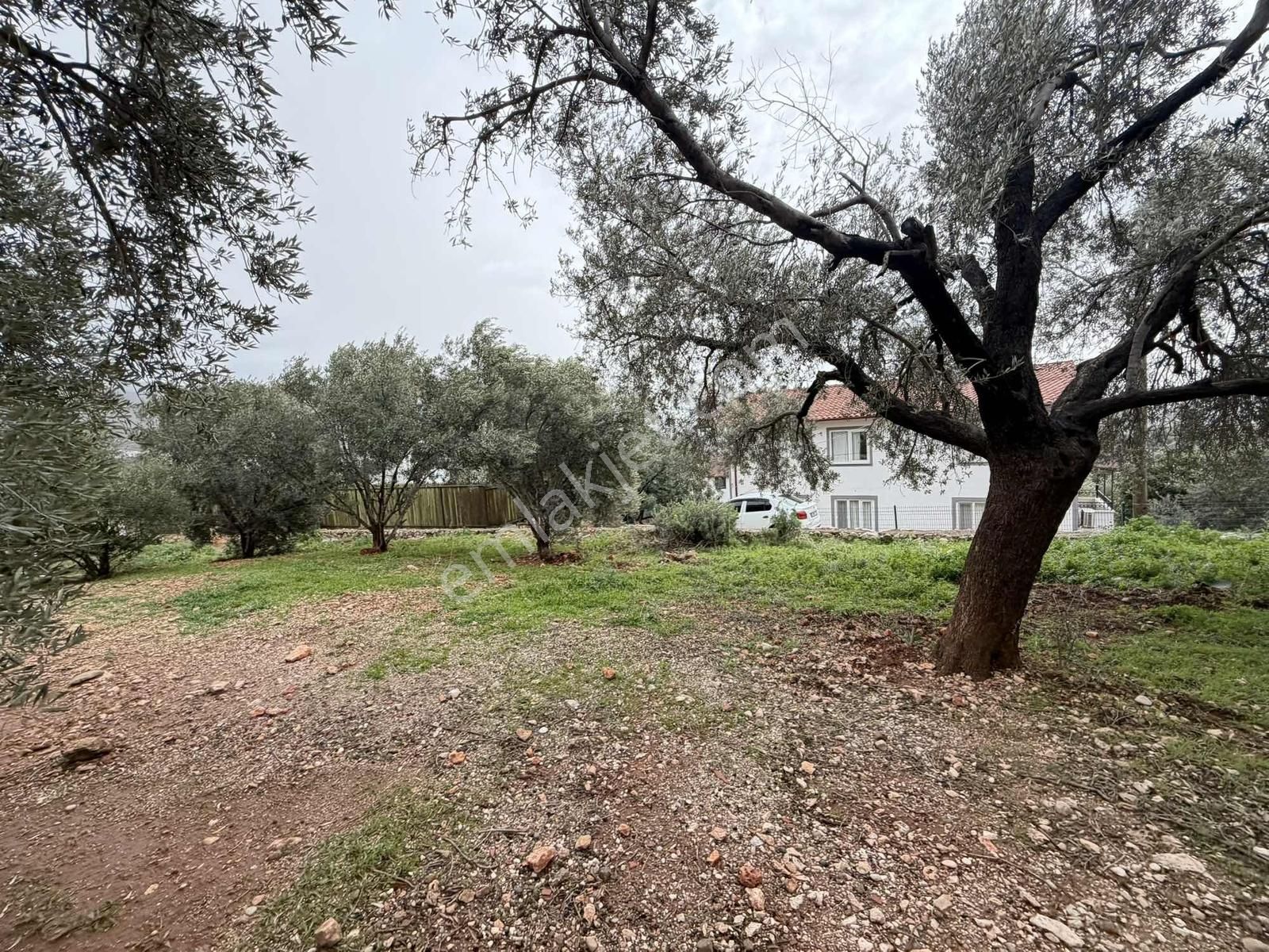 Kaş Mega Dan Deniz Manzaralı Daireler - Görsel 10