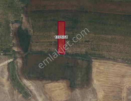 Gülağaç Da Kadastro Yolu Olan Bahçelik 1079/31. 913 M Tarla 170.000 Tl