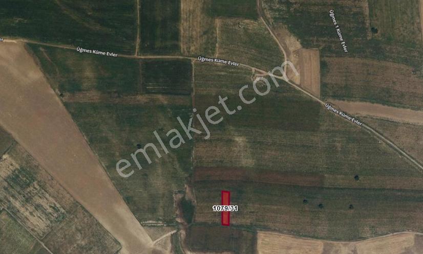 Gülağaç Da Kadastro Yolu Olan Bahçelik 1079/31. 913 M Tarla 170.000 Tl - Görsel 4