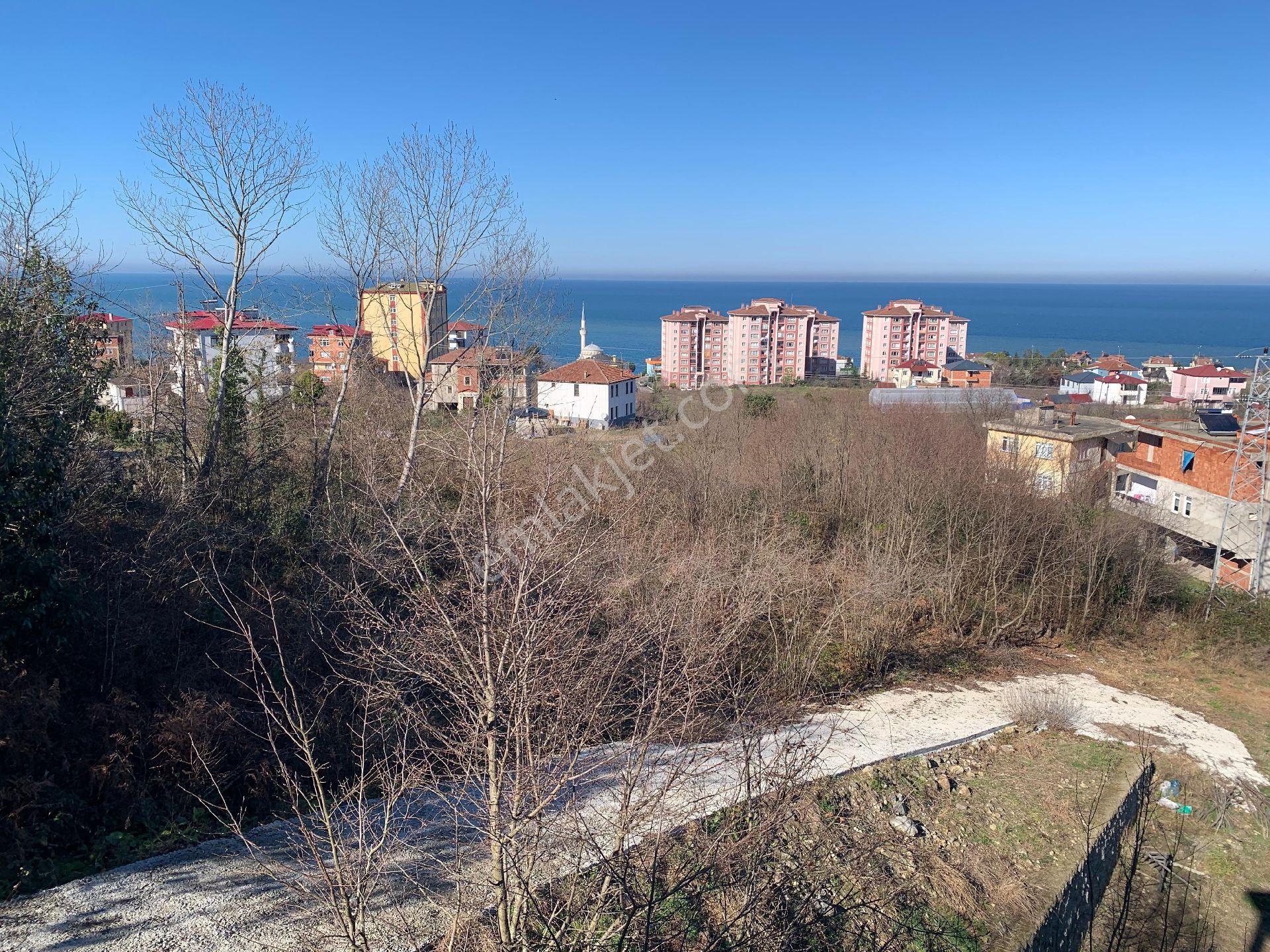 Doğuş Gayrimenkul Arsin Kuzguncuk Ta Satılık Konut İmarlı Arsa - Görsel 21