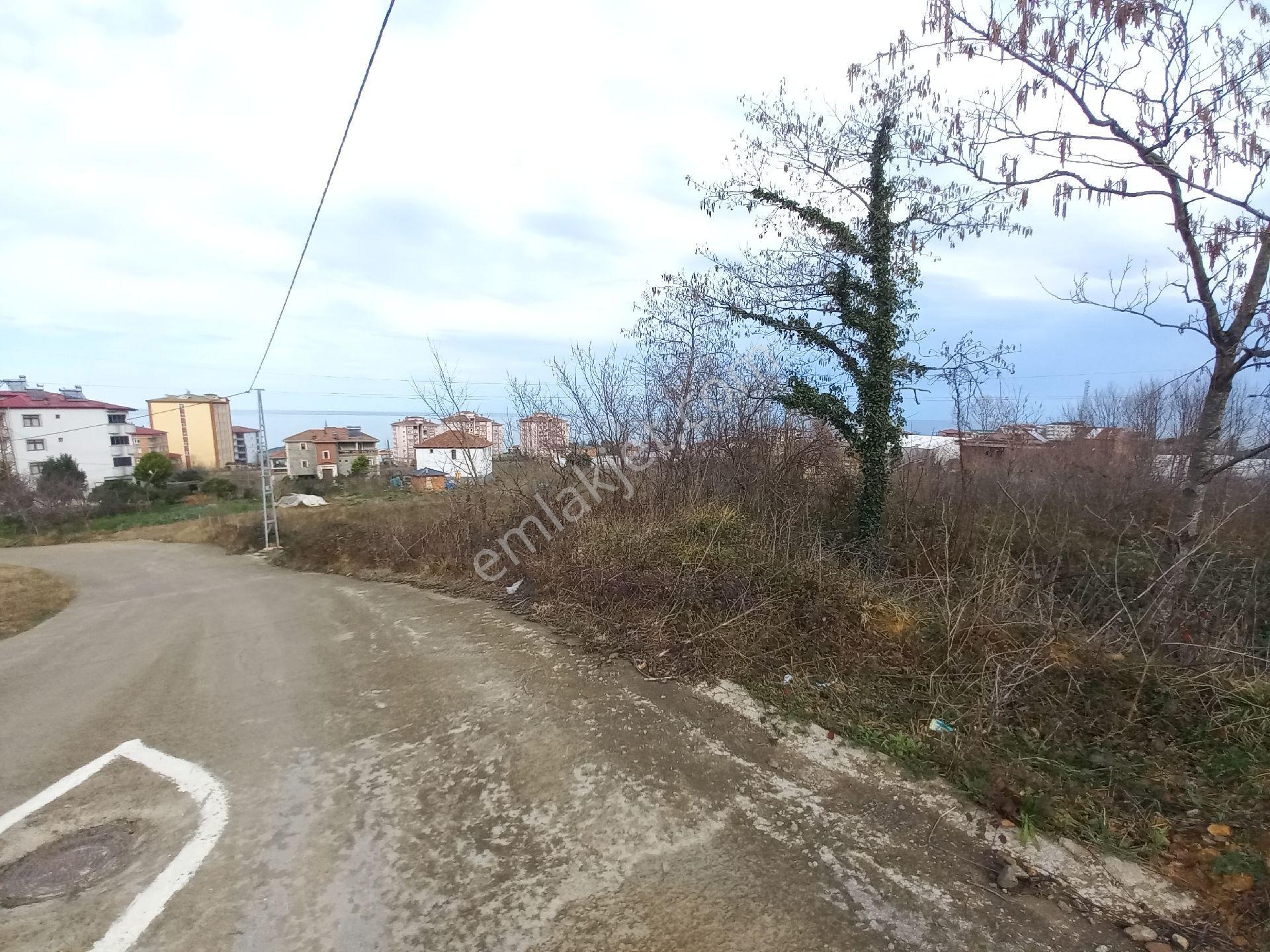 Doğuş Gayrimenkul Arsin Kuzguncuk Ta Satılık Konut İmarlı Arsa - Görsel 4