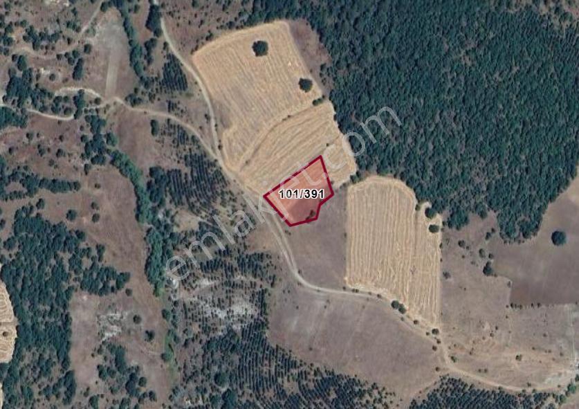 Kütahya Merkez Kıranşeyh Köyünde 2.763 M² Tarla Satılıktır