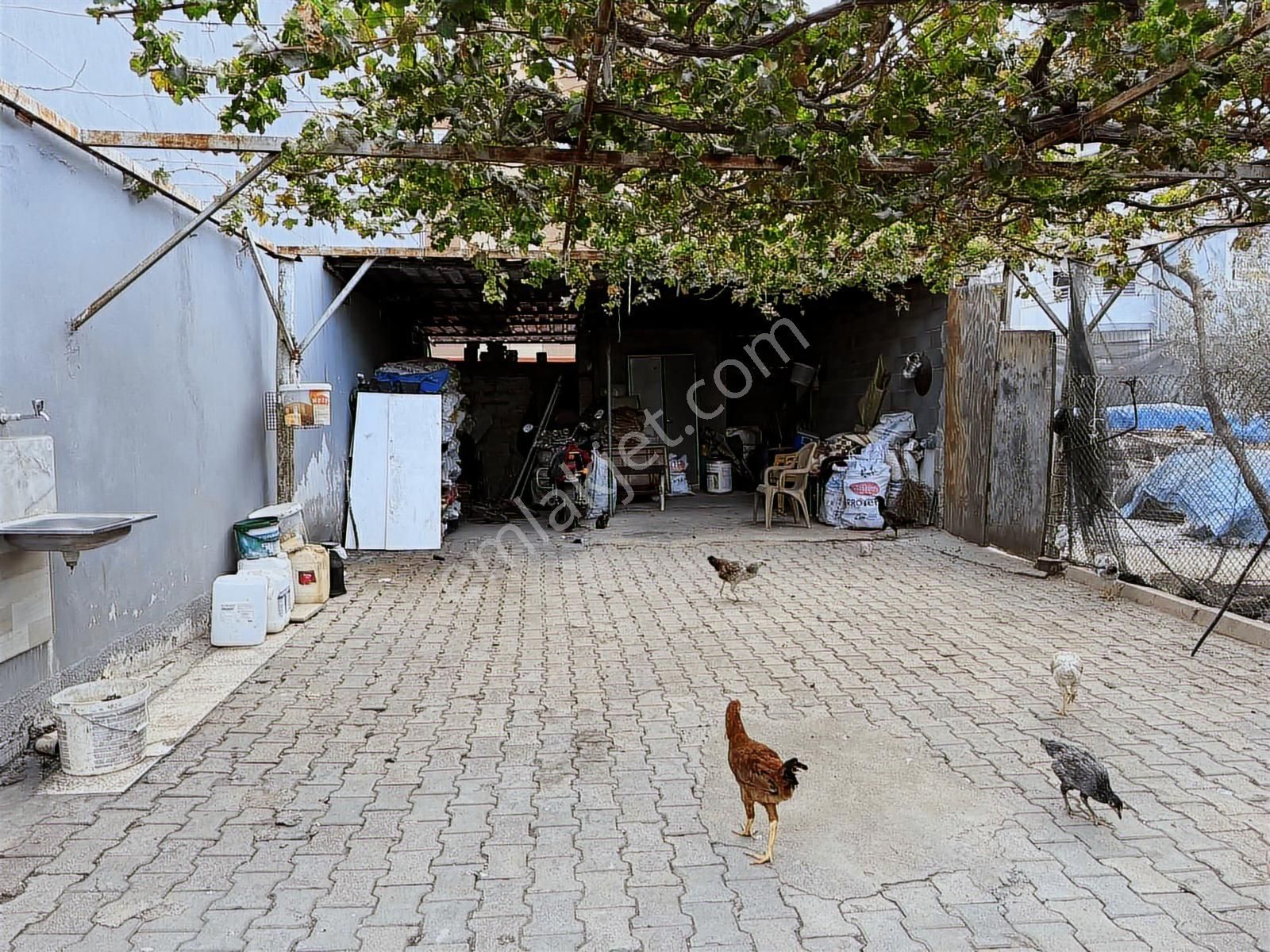 Noyandan İncirlikte 2 Katlı Müstakil Ev - Görsel 5