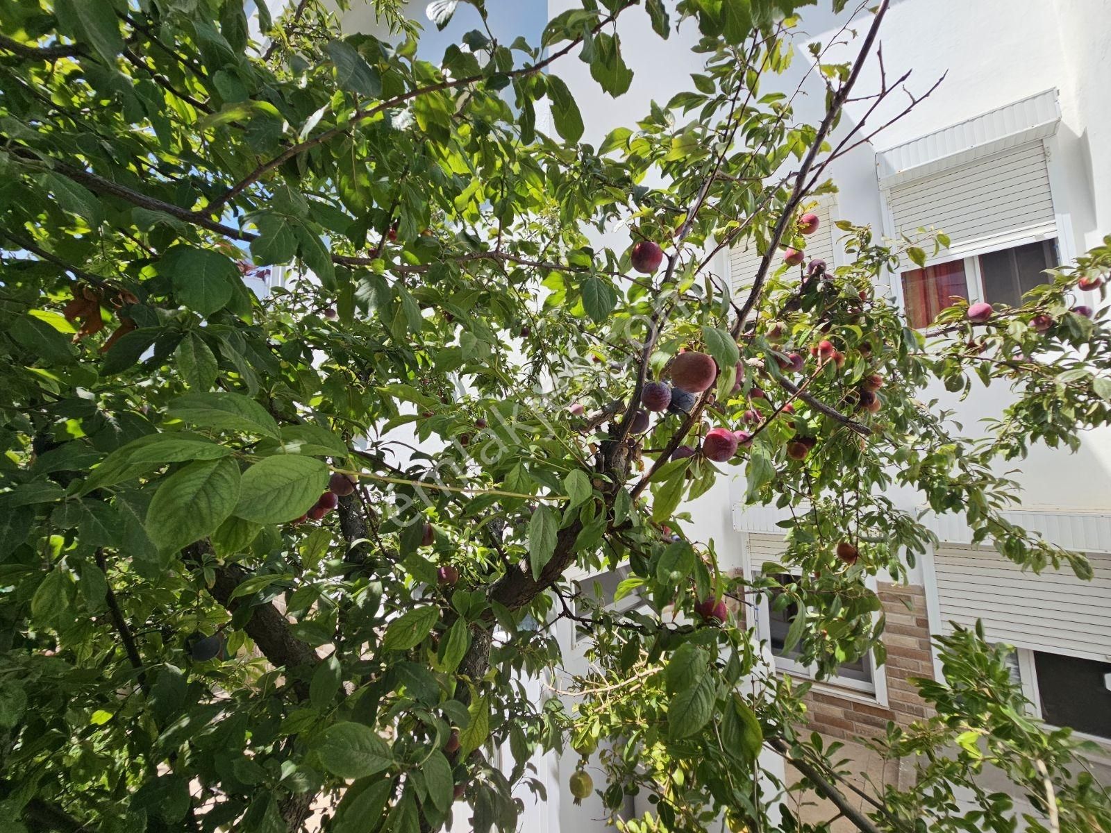 Onmax Deniz,doğa,şehir Manzaralı 3+1 Fırsat Villa - Görsel 10