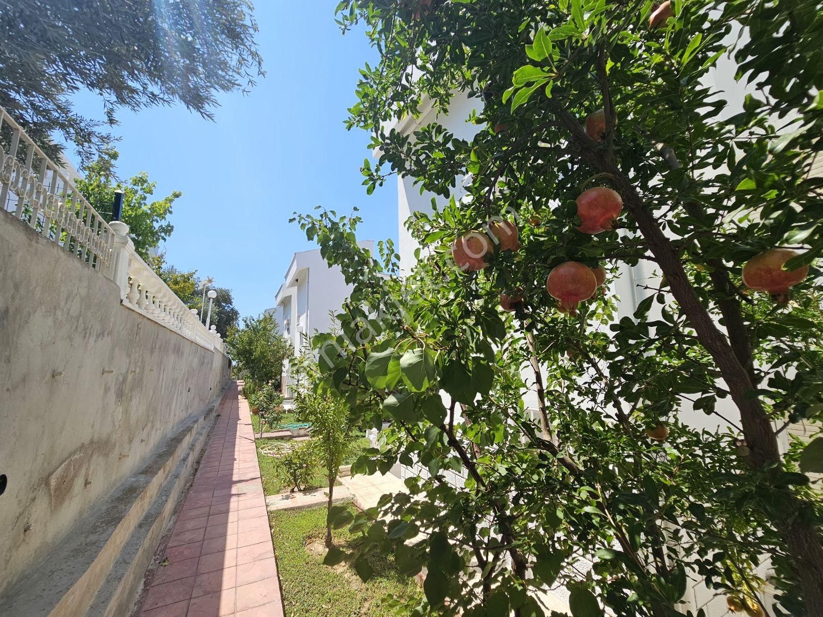 Onmax Deniz,doğa,şehir Manzaralı 3+1 Fırsat Villa - Görsel 18