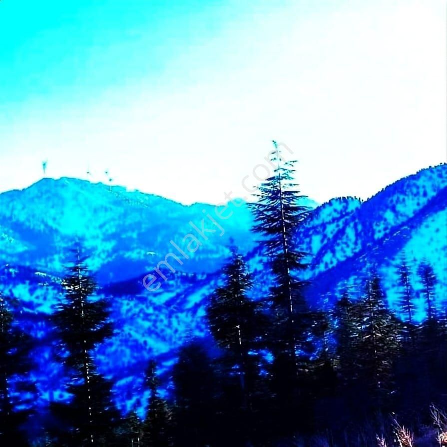 Kar Emlaktan Kamışlı Yaylasında 500m2 Satılık Arsa - Görsel 4