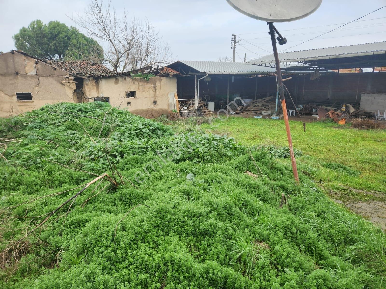 Setel Premiumdan Fiyat Düştü Arsa Fiyatına Çift Tapu - Görsel 6