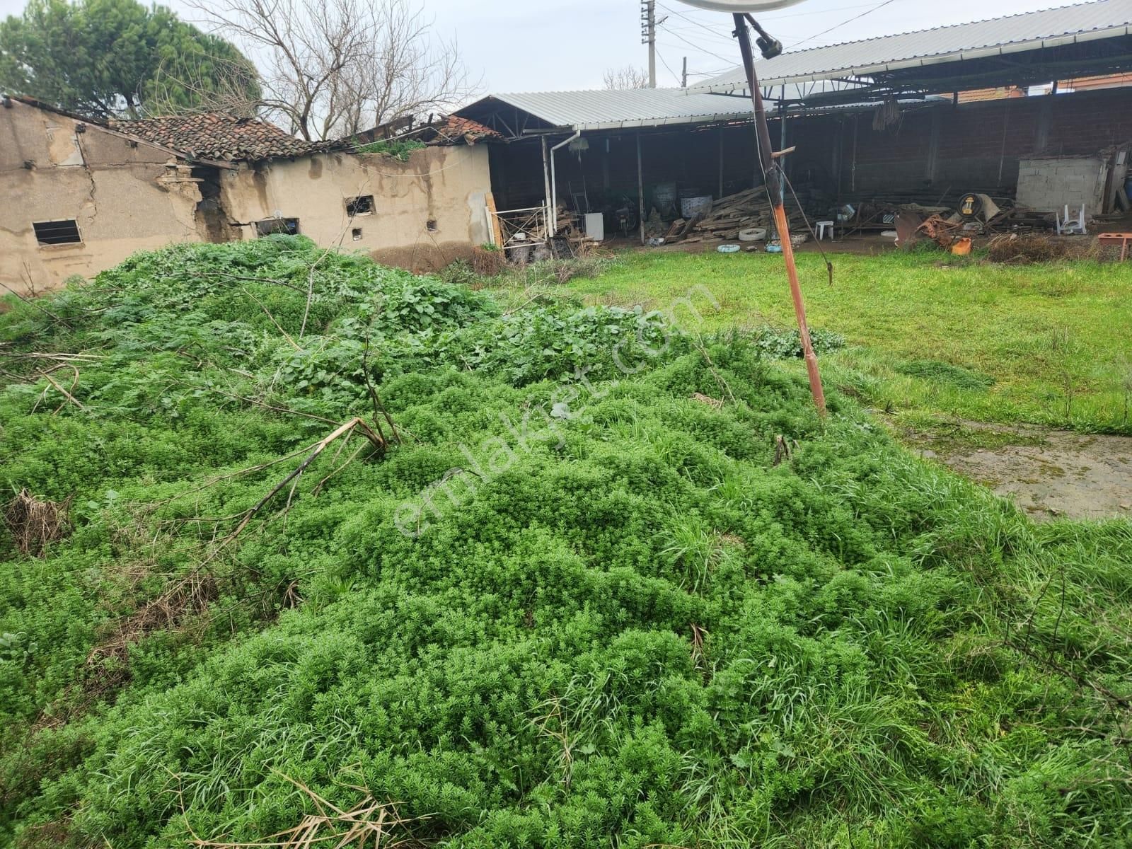 Setel Premiumdan Fiyat Düştü Arsa Fiyatına Çift Tapu - Görsel 4