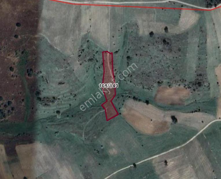 Kütahya Gediz Yağmurlar Köyünde 4.273 M² Tarla Satılıktır