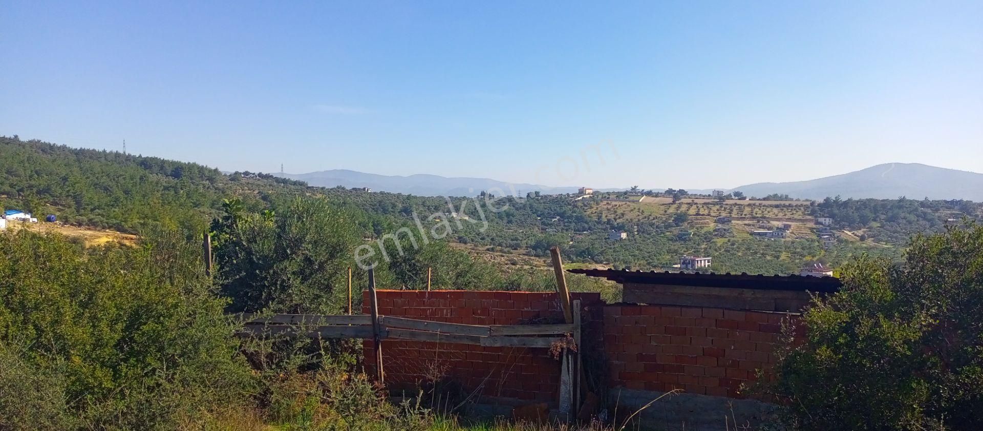 Torbalı Emlak'tan Kuşçuburun Mah. Konut İmarlı 388m2 Arsamız Satılıktır - Görsel 7