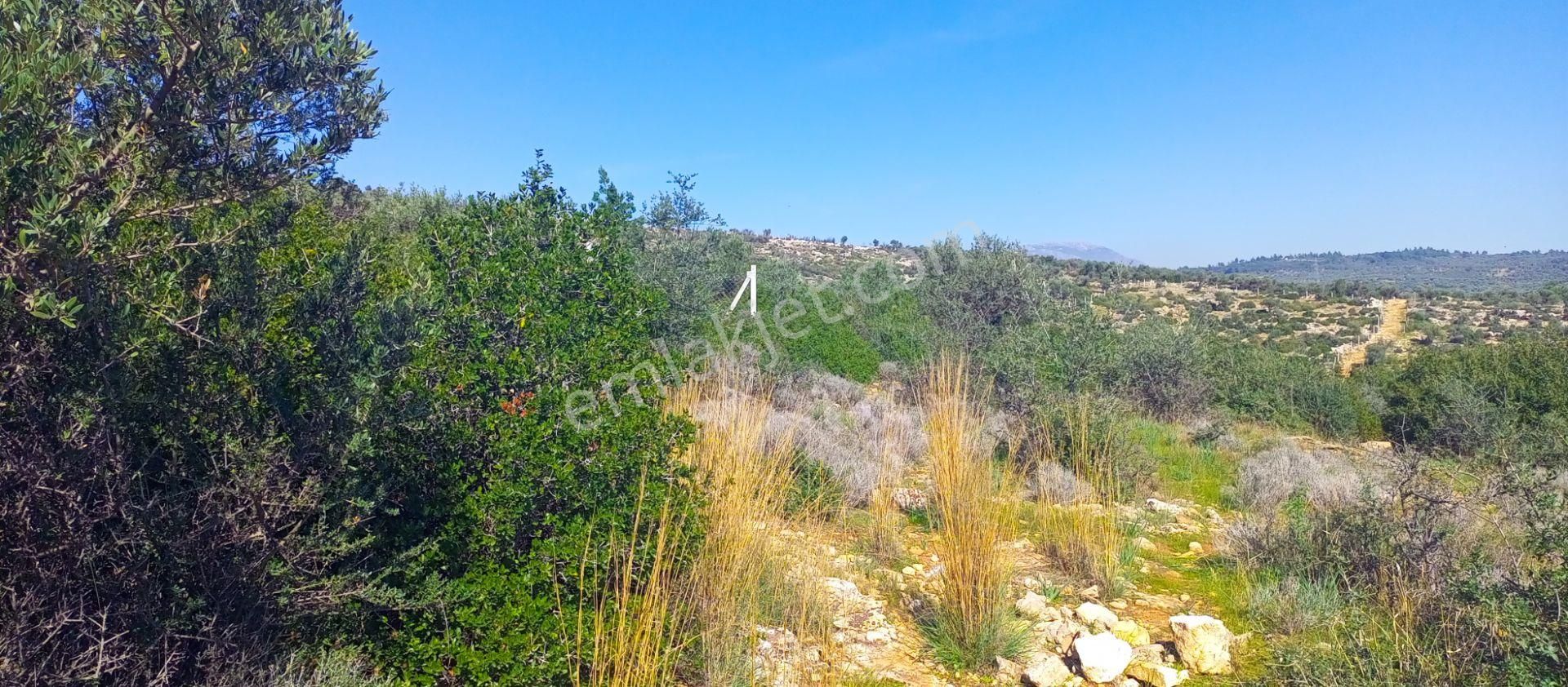 Torbalı Emlak'tan Kuşçuburun Mah. Konut İmarlı 388m2 Arsamız Satılıktır - Görsel 12