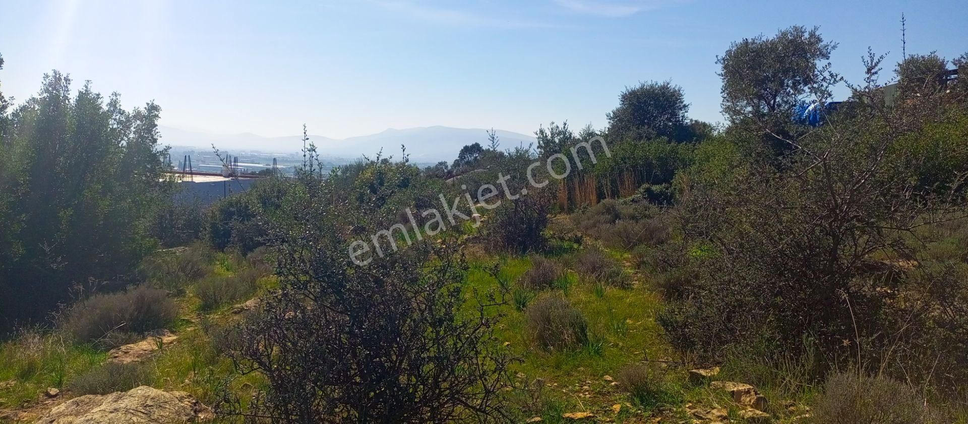 Torbalı Emlak'tan Kuşçuburun Mah. Konut İmarlı 388m2 Arsamız Satılıktır - Görsel 4