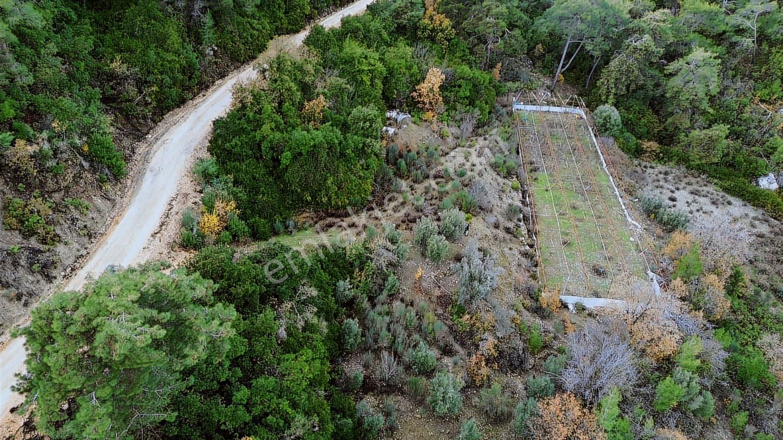 Kaş Akörü'de 2756 M2 Arazi + 1000 M2 Sera Tek Tapu