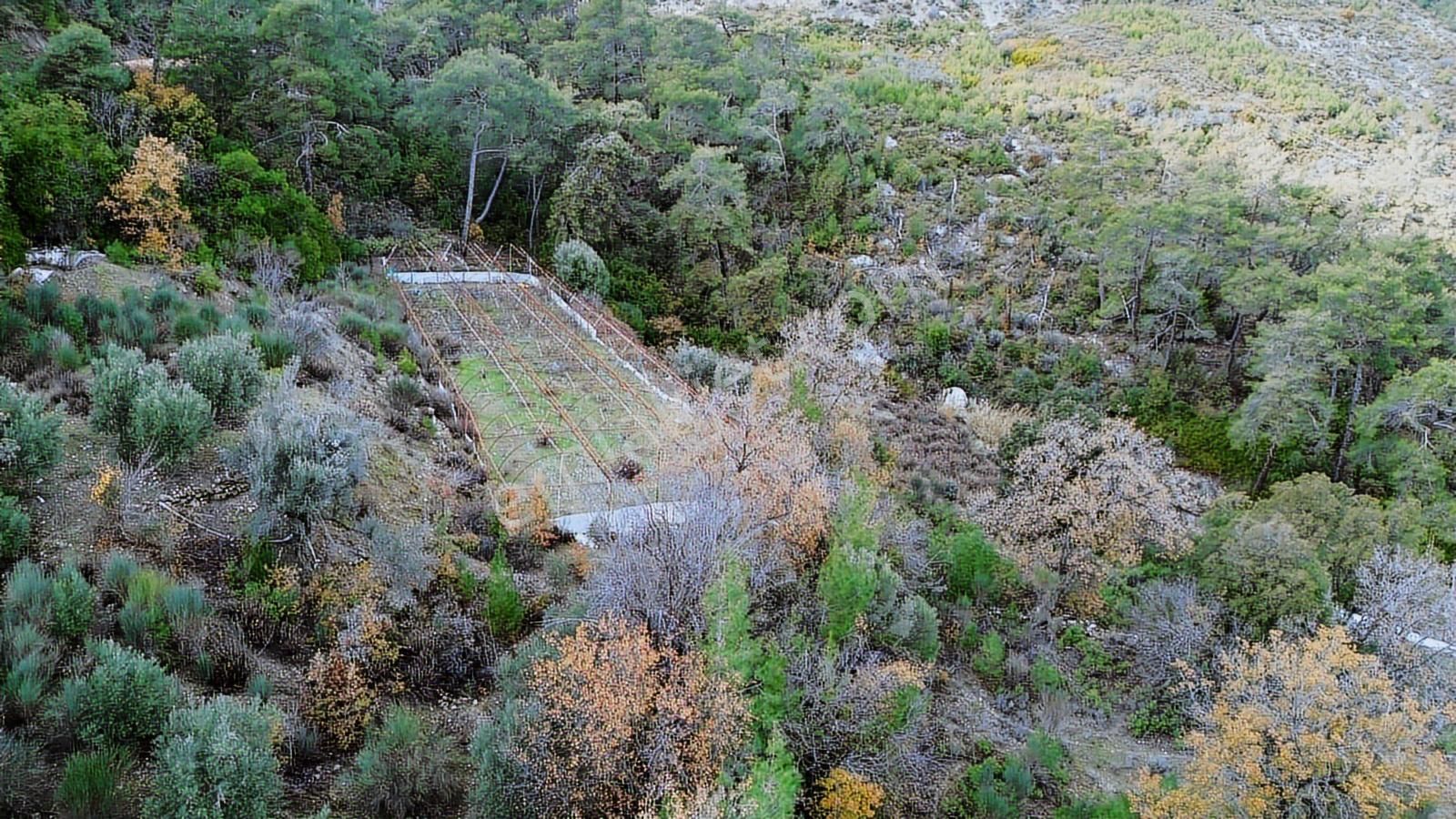 Kaş Akörü'de 2756 M2 Arazi + 1000 M2 Sera Tek Tapu - Görsel 4
