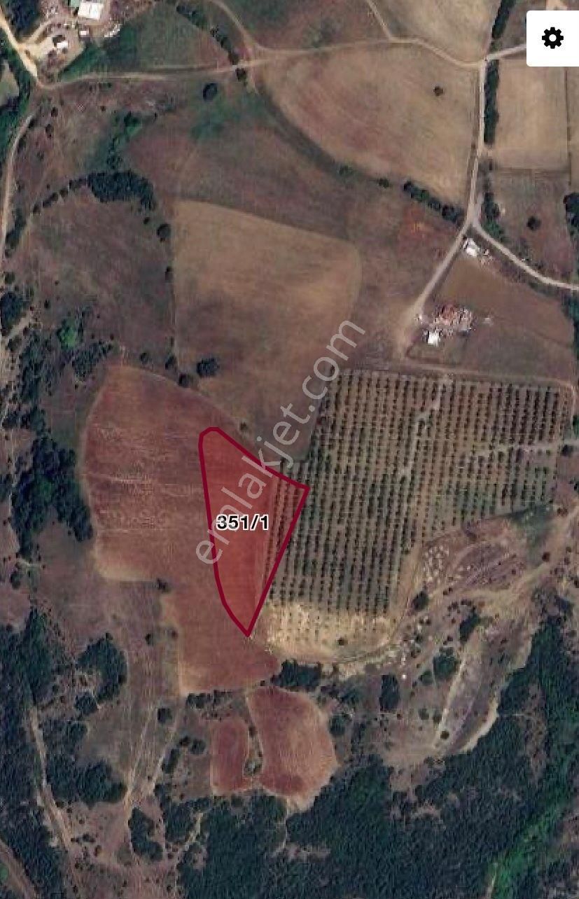 Gebze Pelitli Köyü Konut Alanında 253 M² Hisseli Arsa