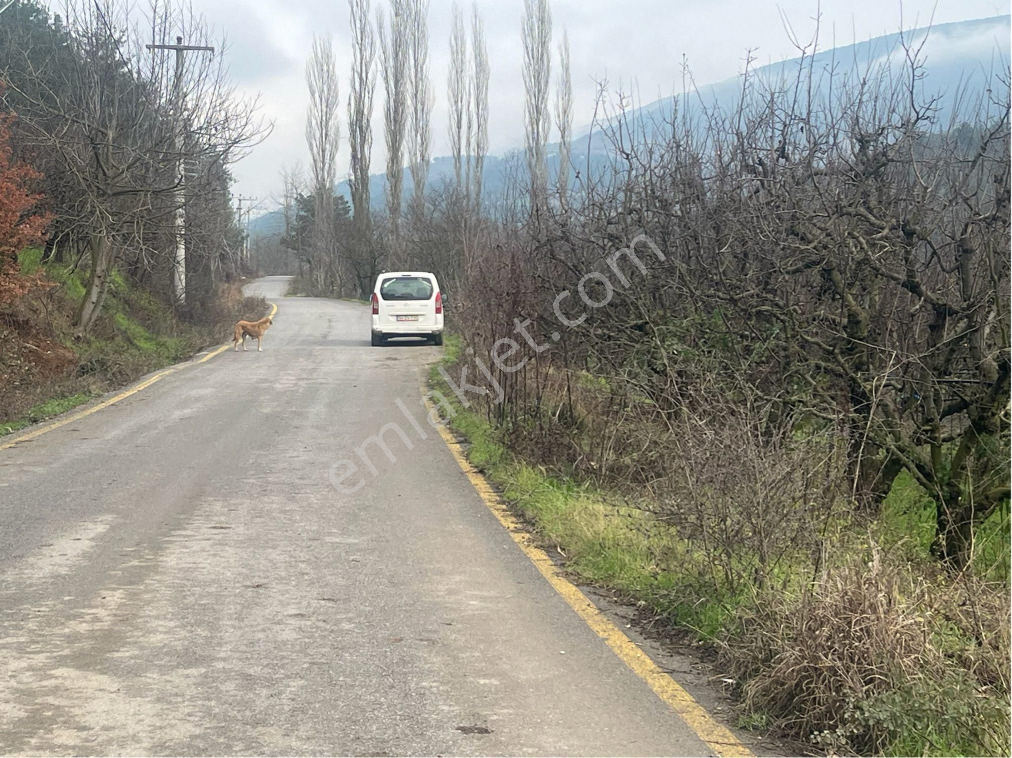 🌿 Sakarya / Geyve / Burhaniye’de Kaçırılmayacak Arsa! - Görsel 4