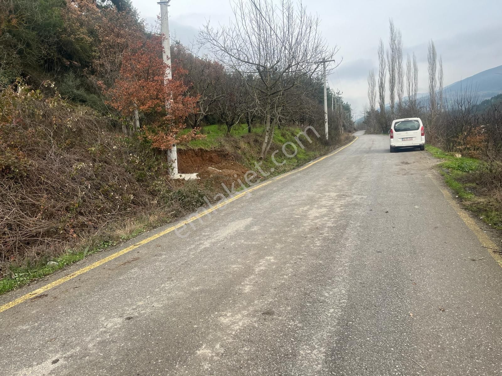 🌿 Sakarya / Geyve / Burhaniye’de Kaçırılmayacak Arsa! - Görsel 3