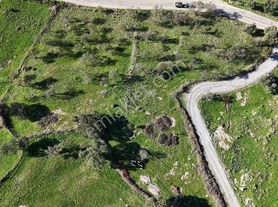 Onmax Bahadınlı'da Satılık 3830 M2 Fırsat Yatırımlık Arsa - Görsel 11