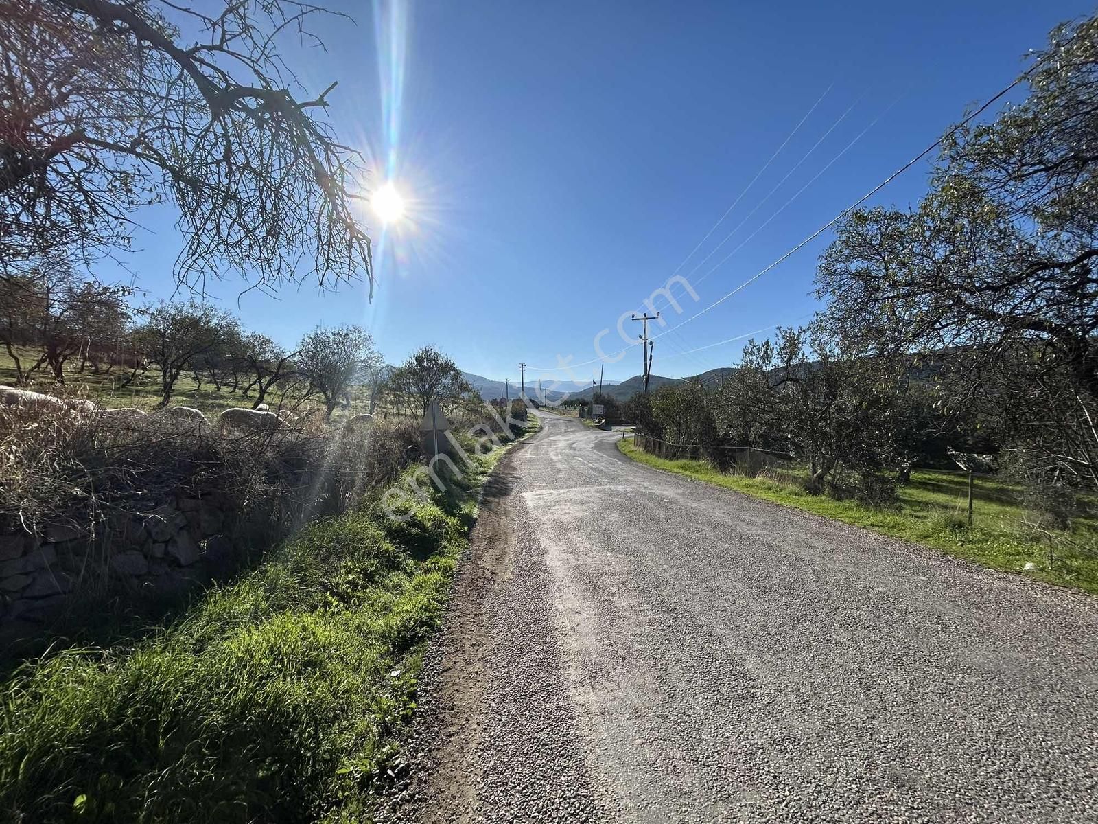 Onmax Bahadınlı'da Satılık 3830 M2 Fırsat Yatırımlık Arsa - Görsel 12