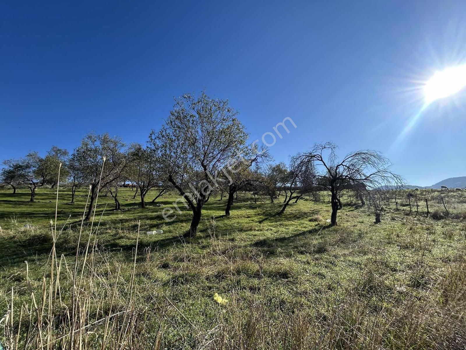 Onmax Bahadınlı'da Satılık 3830 M2 Fırsat Yatırımlık Arsa - Görsel 13
