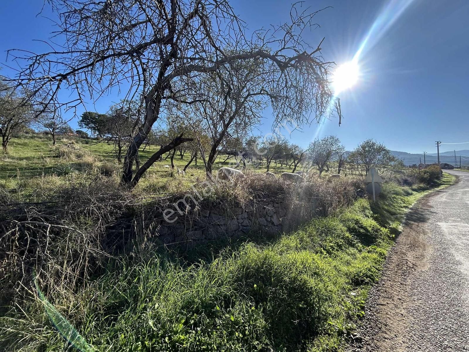 Onmax Bahadınlı'da Satılık 3830 M2 Fırsat Yatırımlık Arsa - Görsel 16