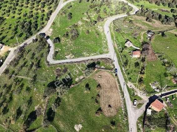 Onmax Bahadınlı'da Satılık 3830 M2 Fırsat Yatırımlık Arsa - Görsel 14