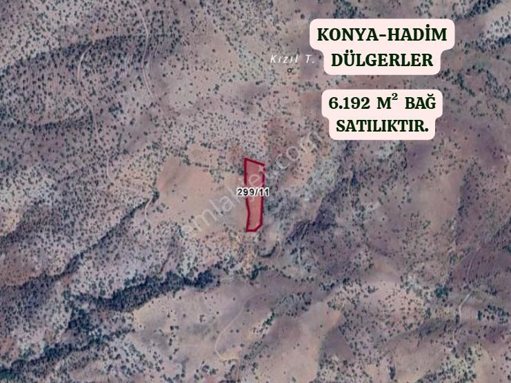 Konya Hadim Dülgerler Köyünde 6.192 M² Bağ Satılıktır - Görsel 2