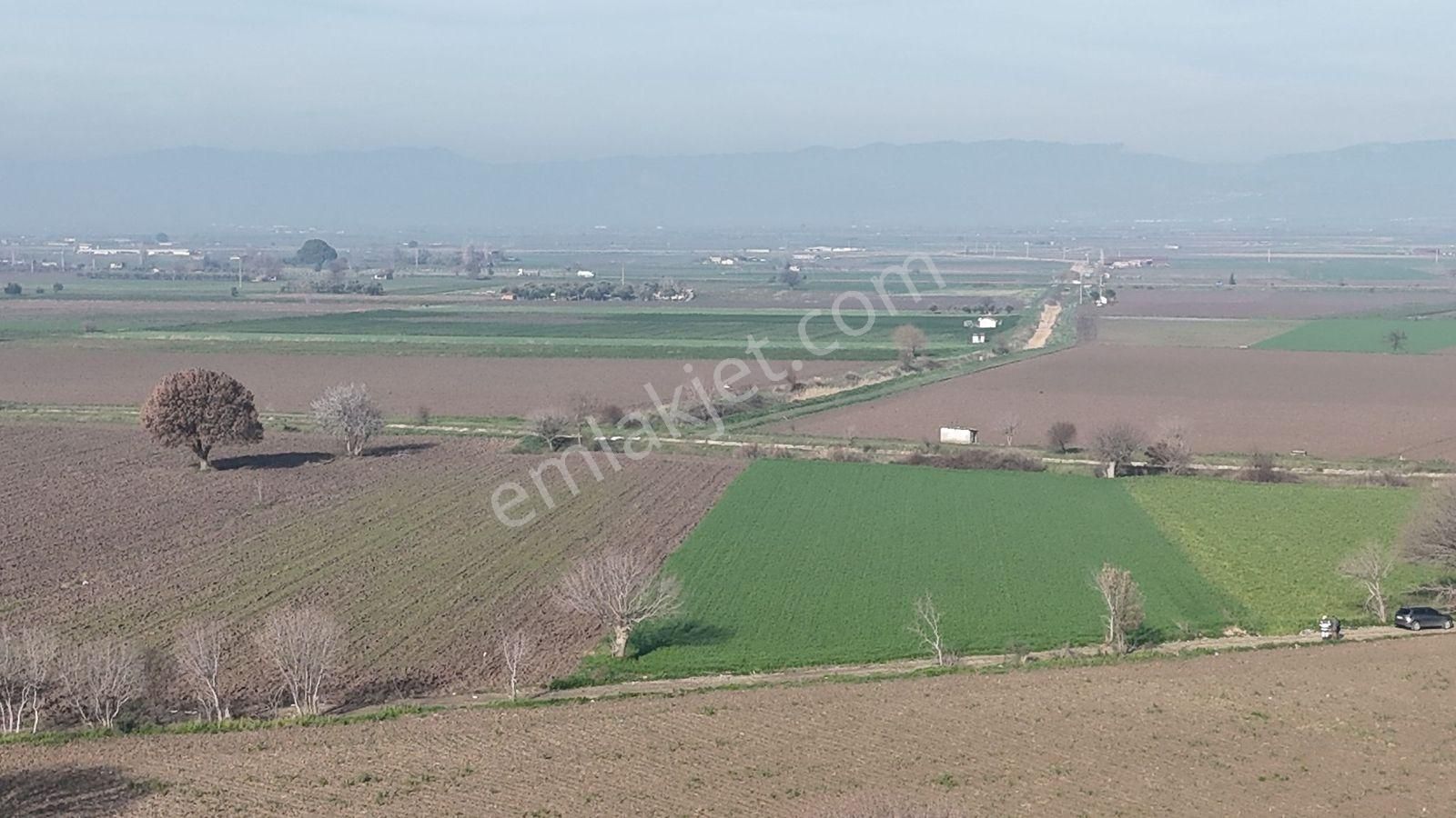 İzmir Kınık Kocaömerli'de 5519 M2 Satılık Arsa - Görsel 15