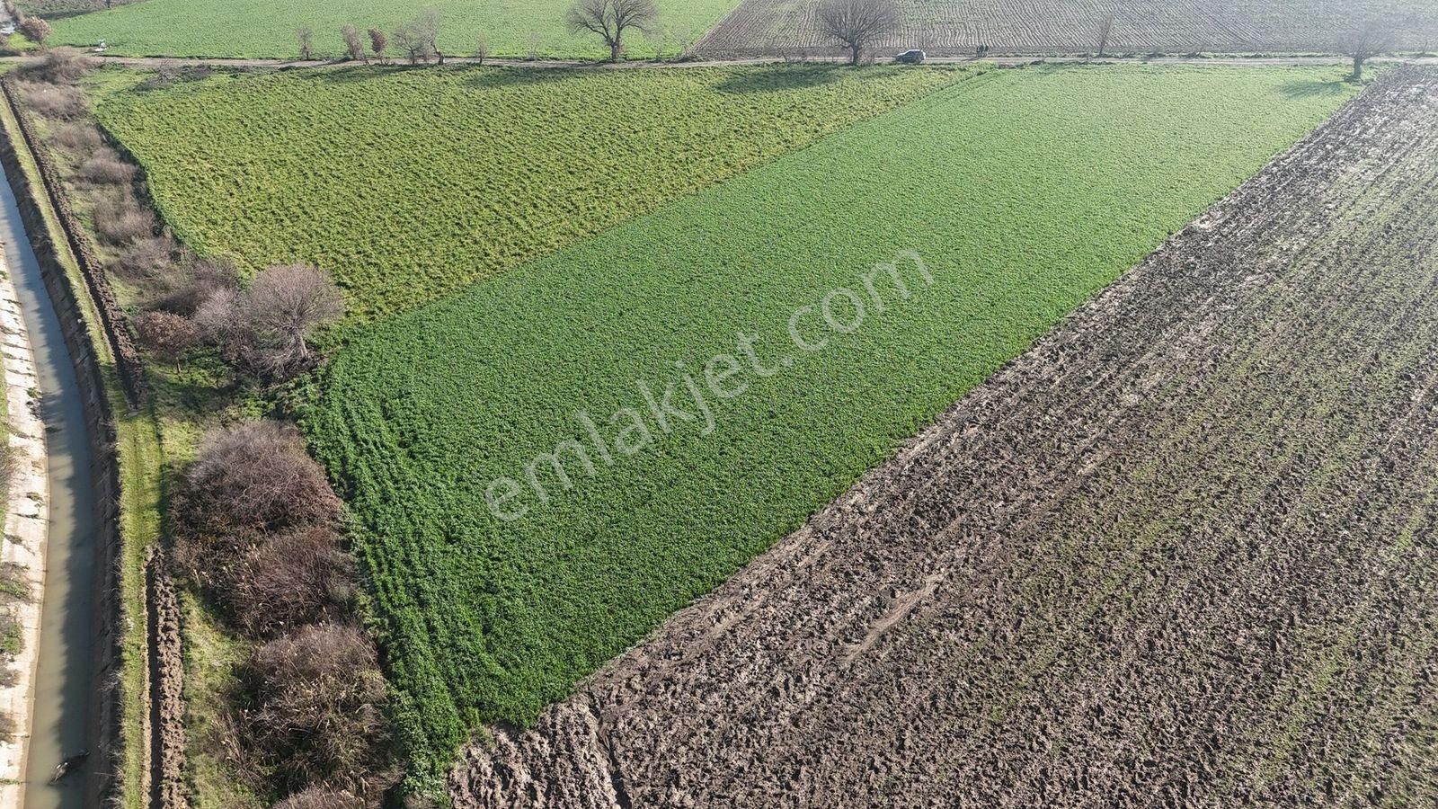 İzmir Kınık Kocaömerli'de 5519 M2 Satılık Arsa - Görsel 12