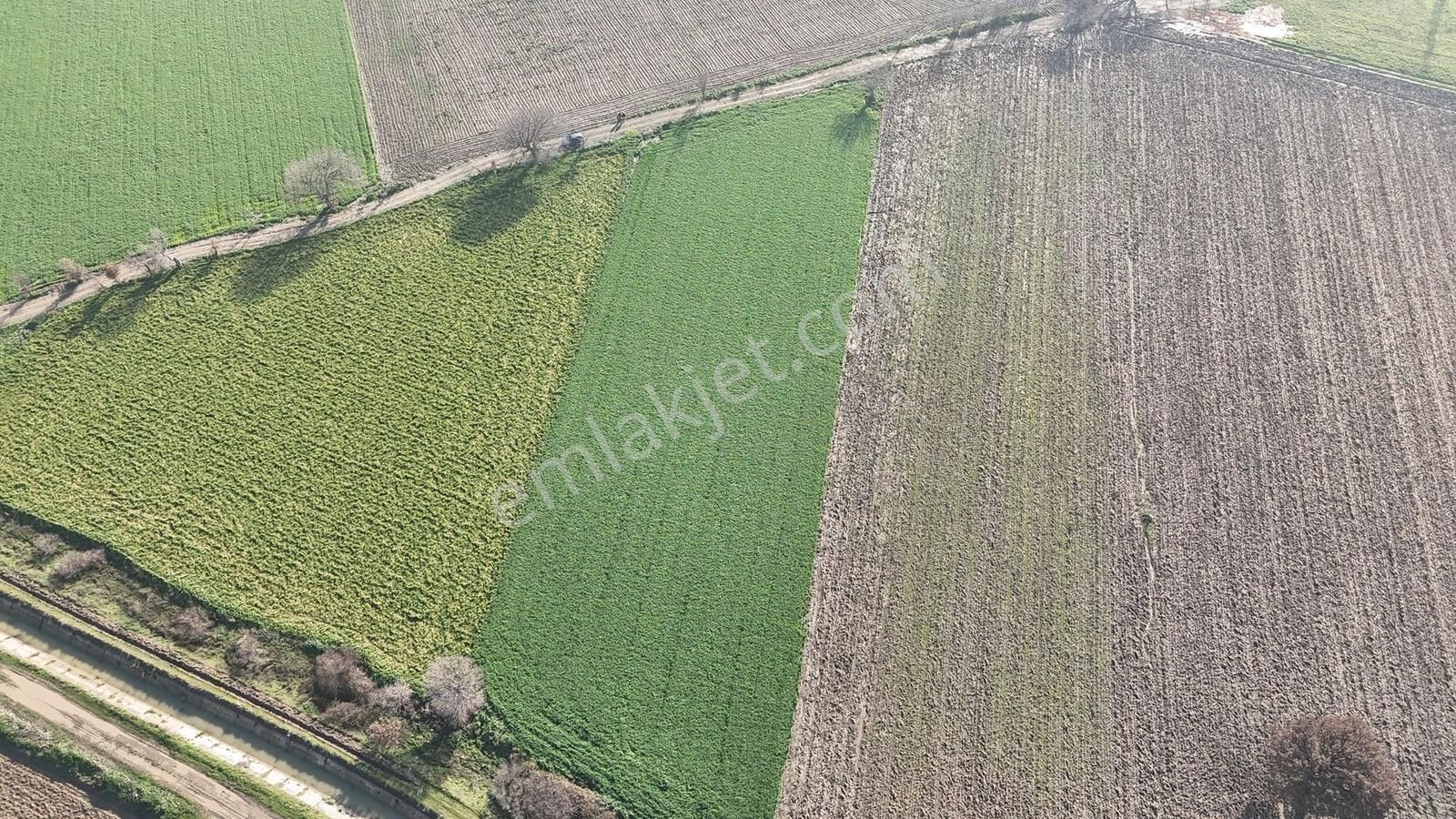 İzmir Kınık Kocaömerli'de 5519 M2 Satılık Arsa - Görsel 4