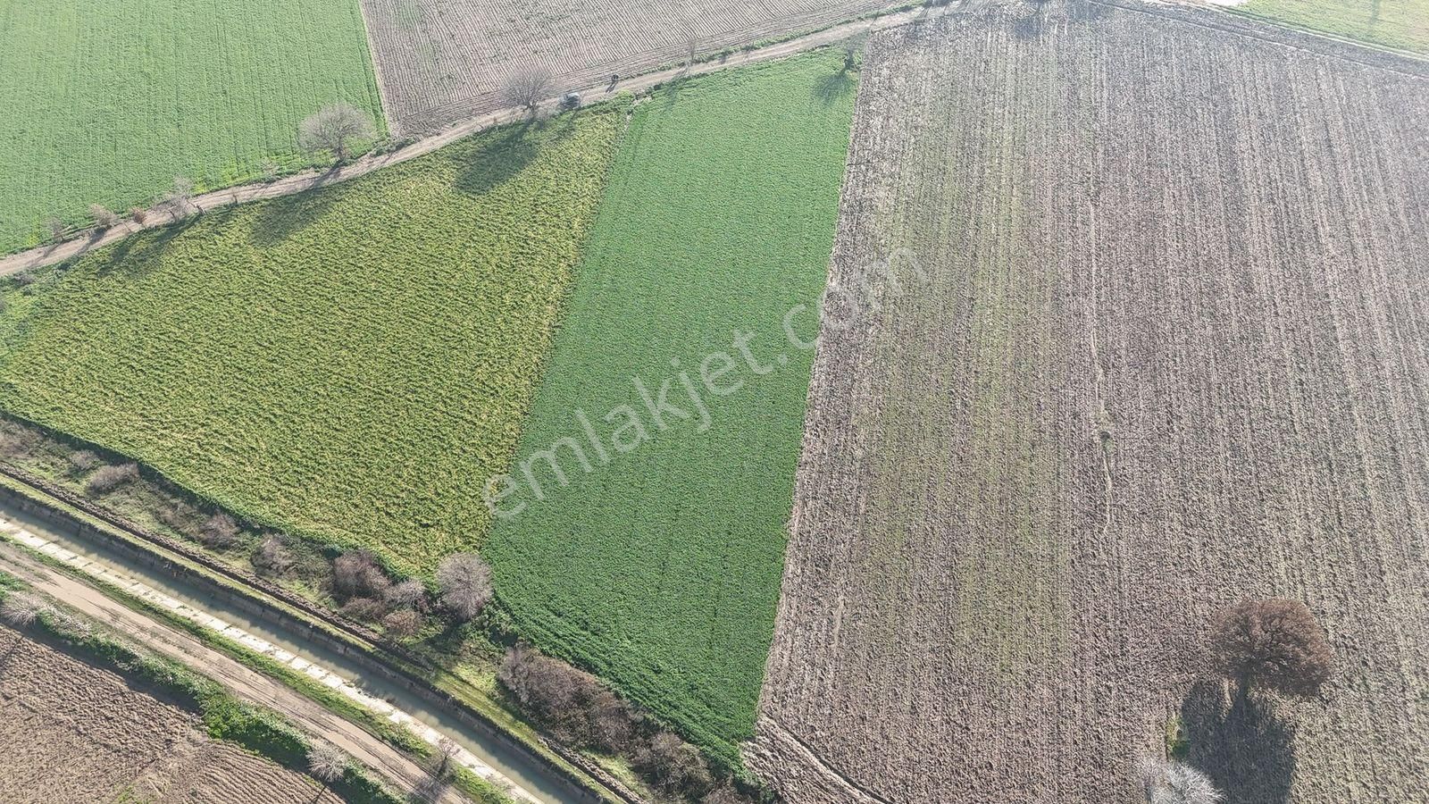 İzmir Kınık Kocaömerli'de 5519 M2 Satılık Arsa - Görsel 16