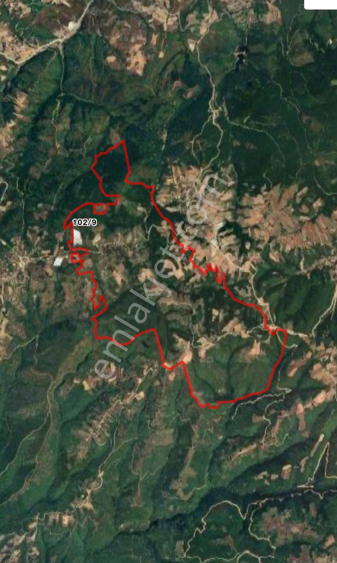 9 Adet Toplamda 40.000 Metre Kare Tarlalarımız Satılıktır - Görsel 4