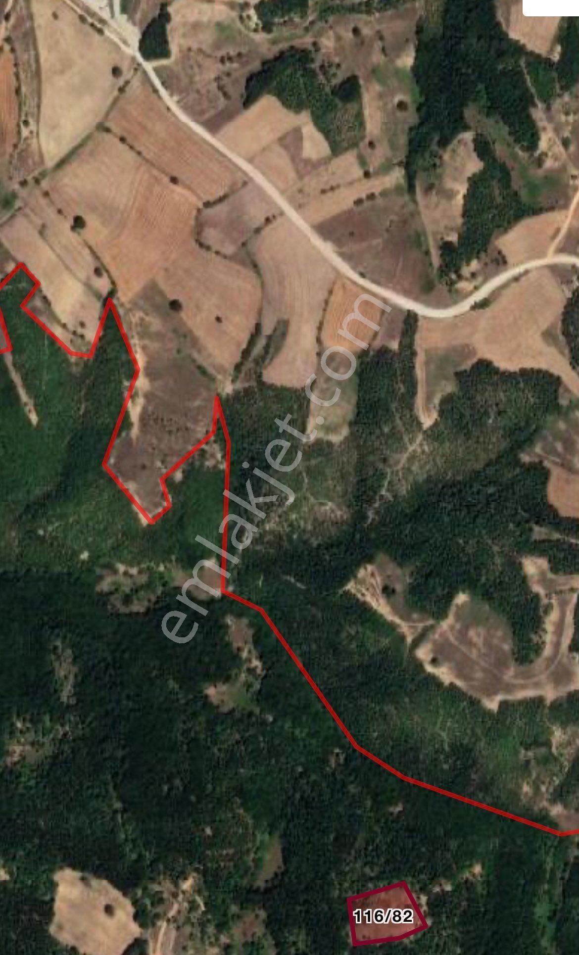 9 Adet Toplamda 40.000 Metre Kare Tarlalarımız Satılıktır - Görsel 26