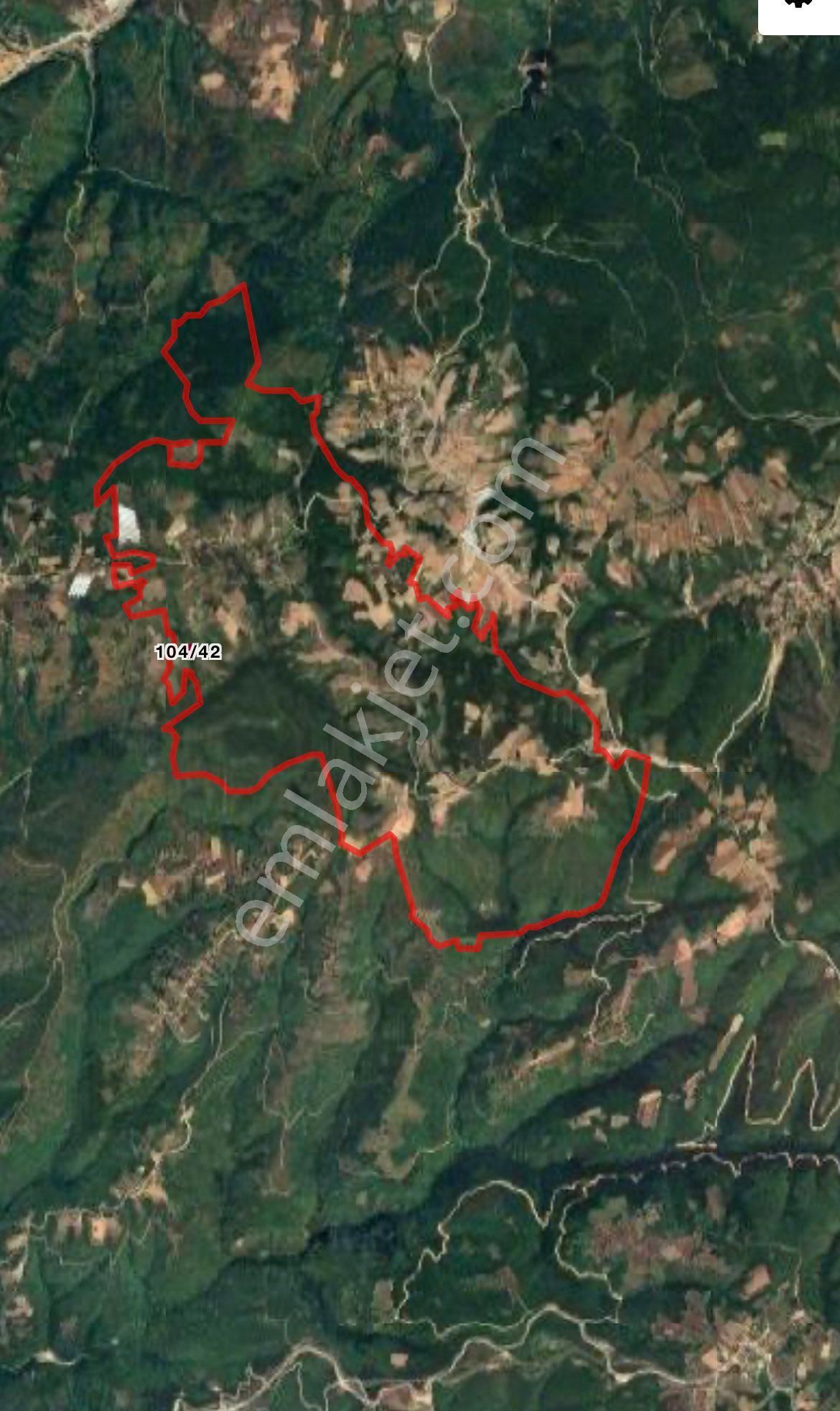 9 Adet Toplamda 40.000 Metre Kare Tarlalarımız Satılıktır - Görsel 13