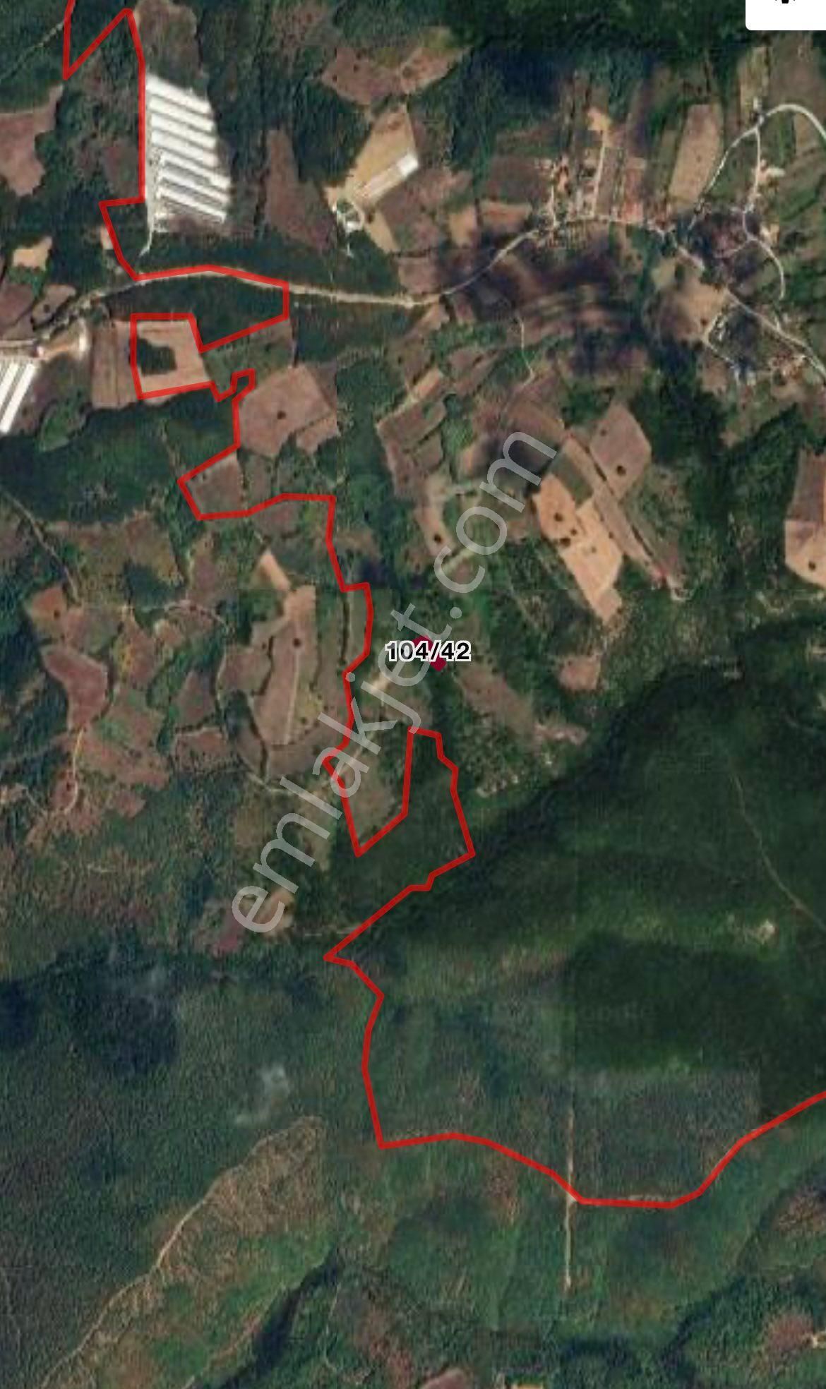 9 Adet Toplamda 40.000 Metre Kare Tarlalarımız Satılıktır - Görsel 14