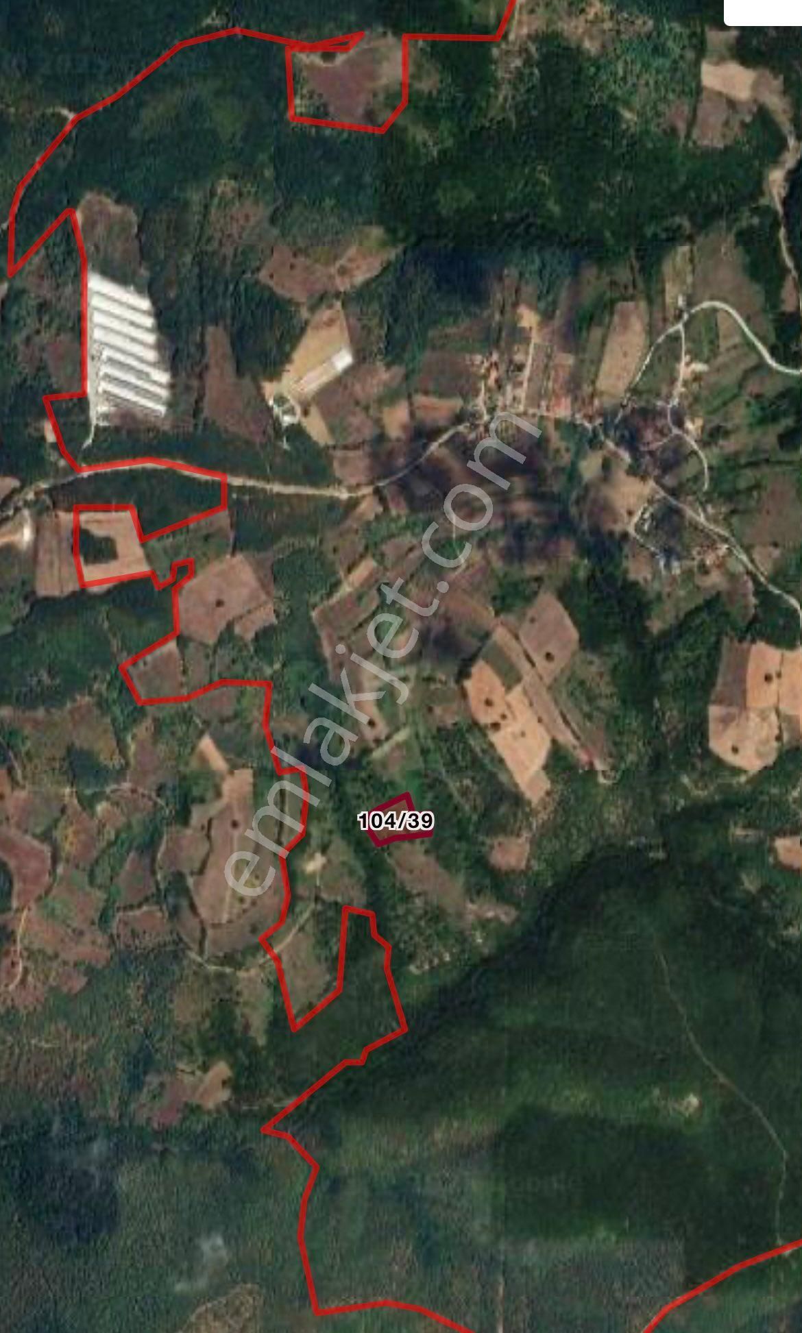 9 Adet Toplamda 40.000 Metre Kare Tarlalarımız Satılıktır - Görsel 11