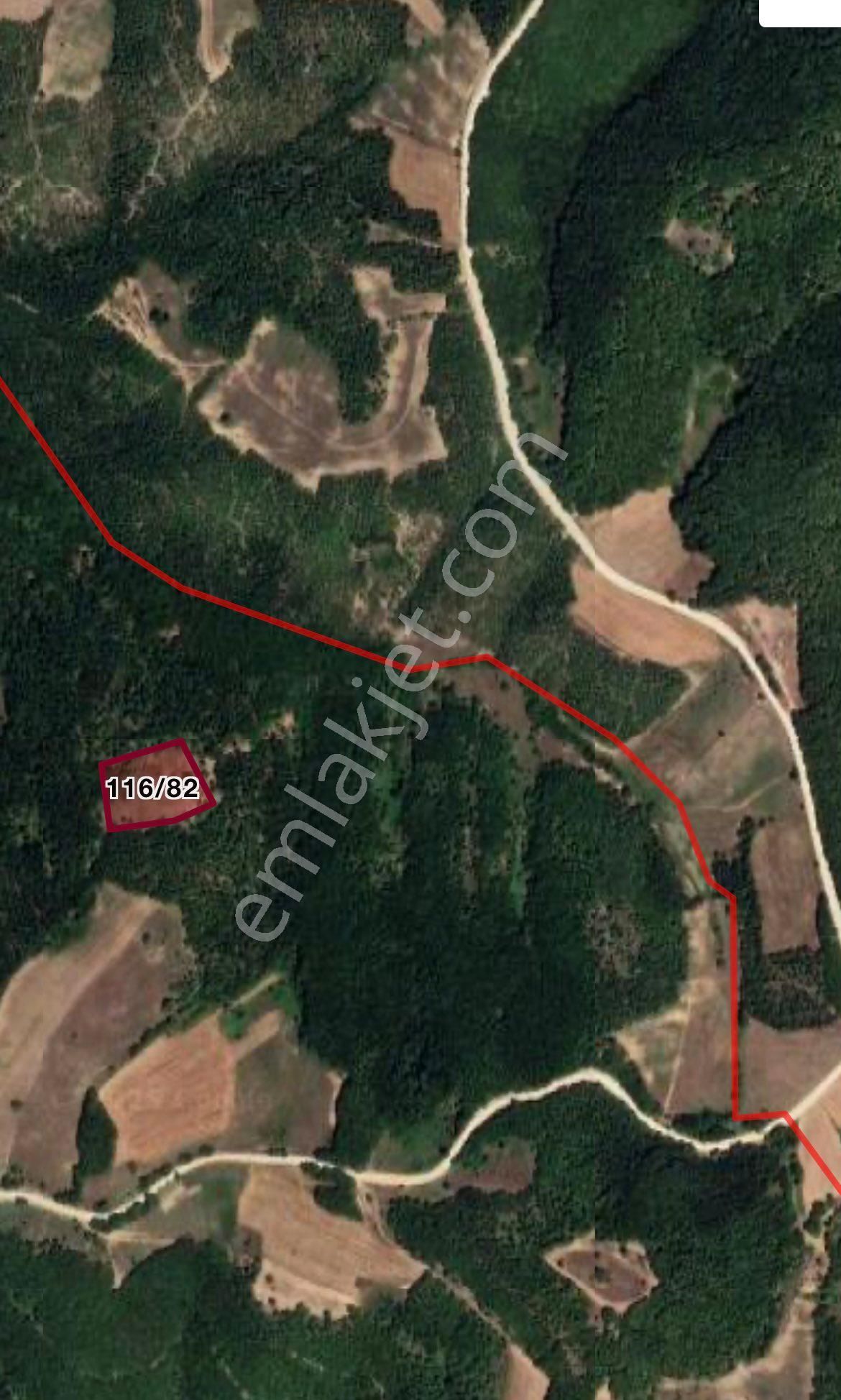 9 Adet Toplamda 40.000 Metre Kare Tarlalarımız Satılıktır - Görsel 27