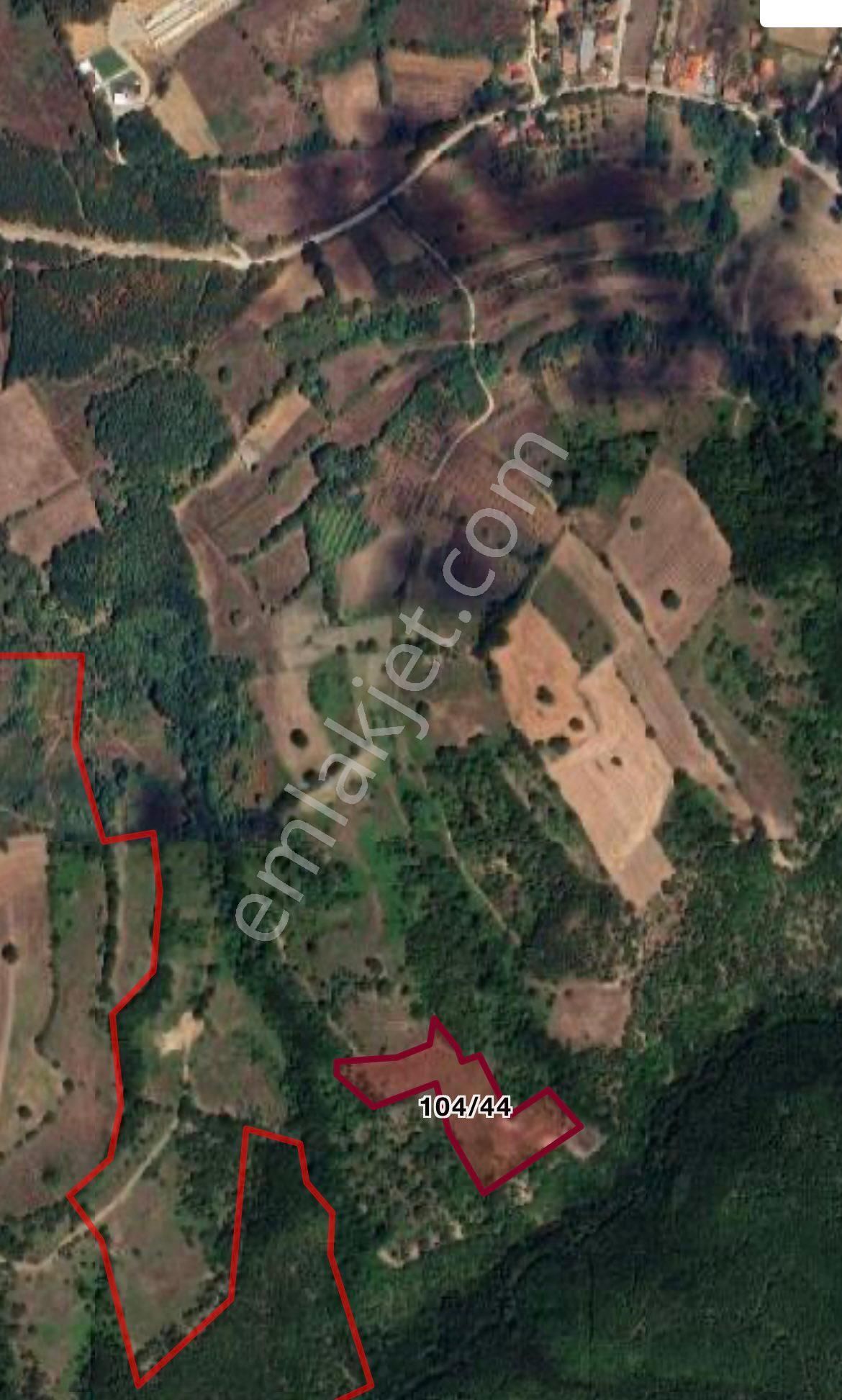 9 Adet Toplamda 40.000 Metre Kare Tarlalarımız Satılıktır - Görsel 15