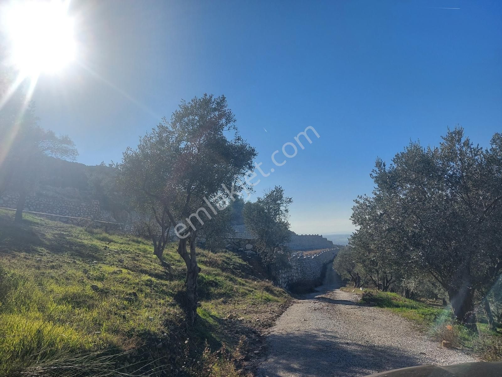 Torbalı Demirciköy De 6,702m2 Zeytinli Tarla - Görsel 10