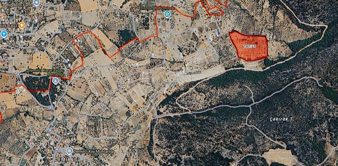 Torbalı Demirciköy De 6,702m2 Zeytinli Tarla - Görsel 18