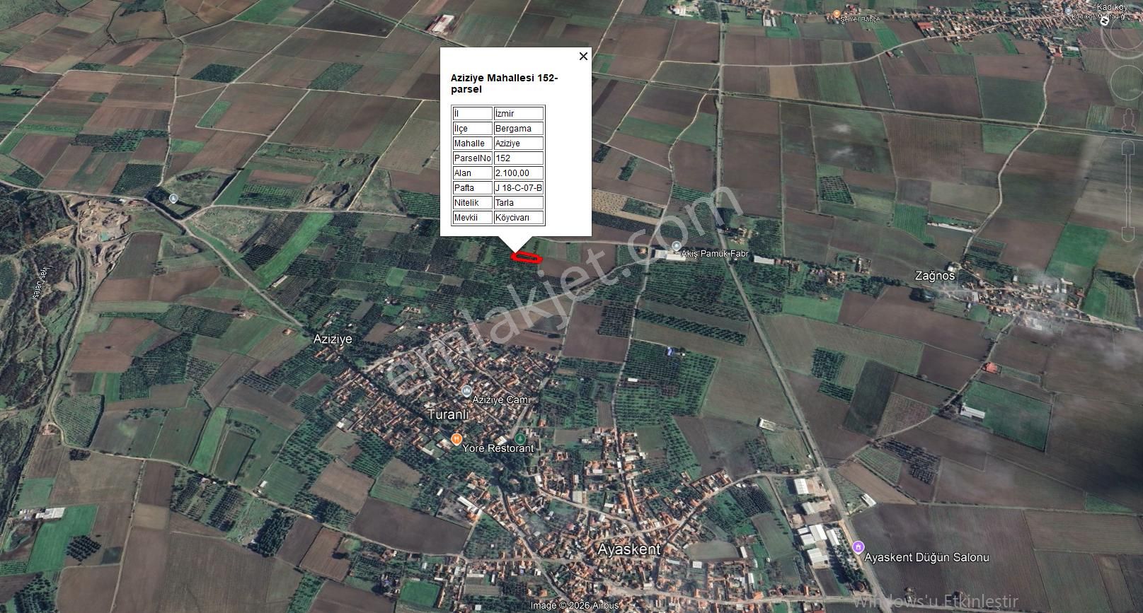 Bergama Aziziye'de Hobi Bahçeşi Olarak Kullanılacak 2100 M2 Zeytinlik - Görsel 2