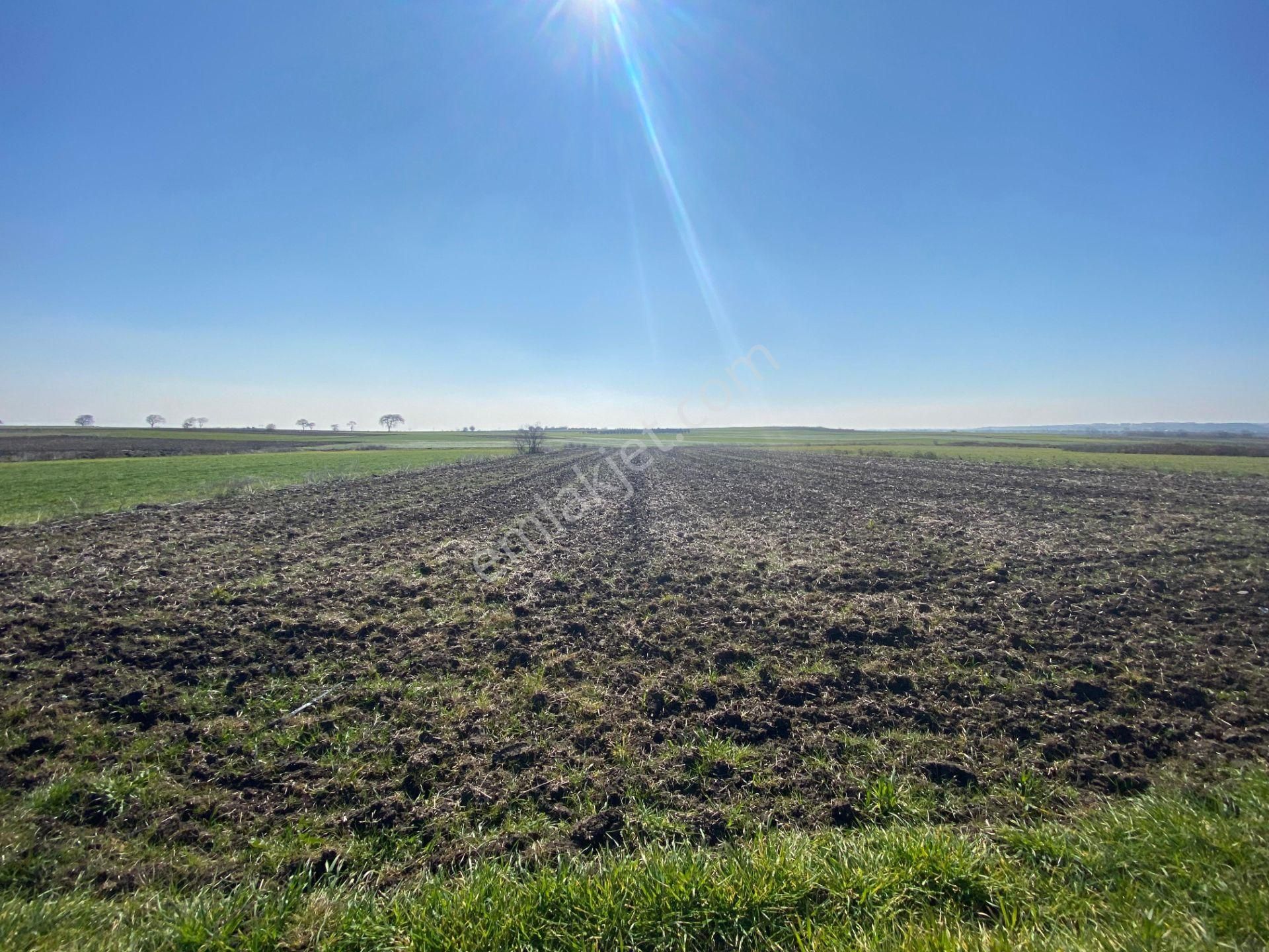Bt Prestıge'den Yolu Olan Geleceği Parlak Acil Satılık Tarla - Görsel 9