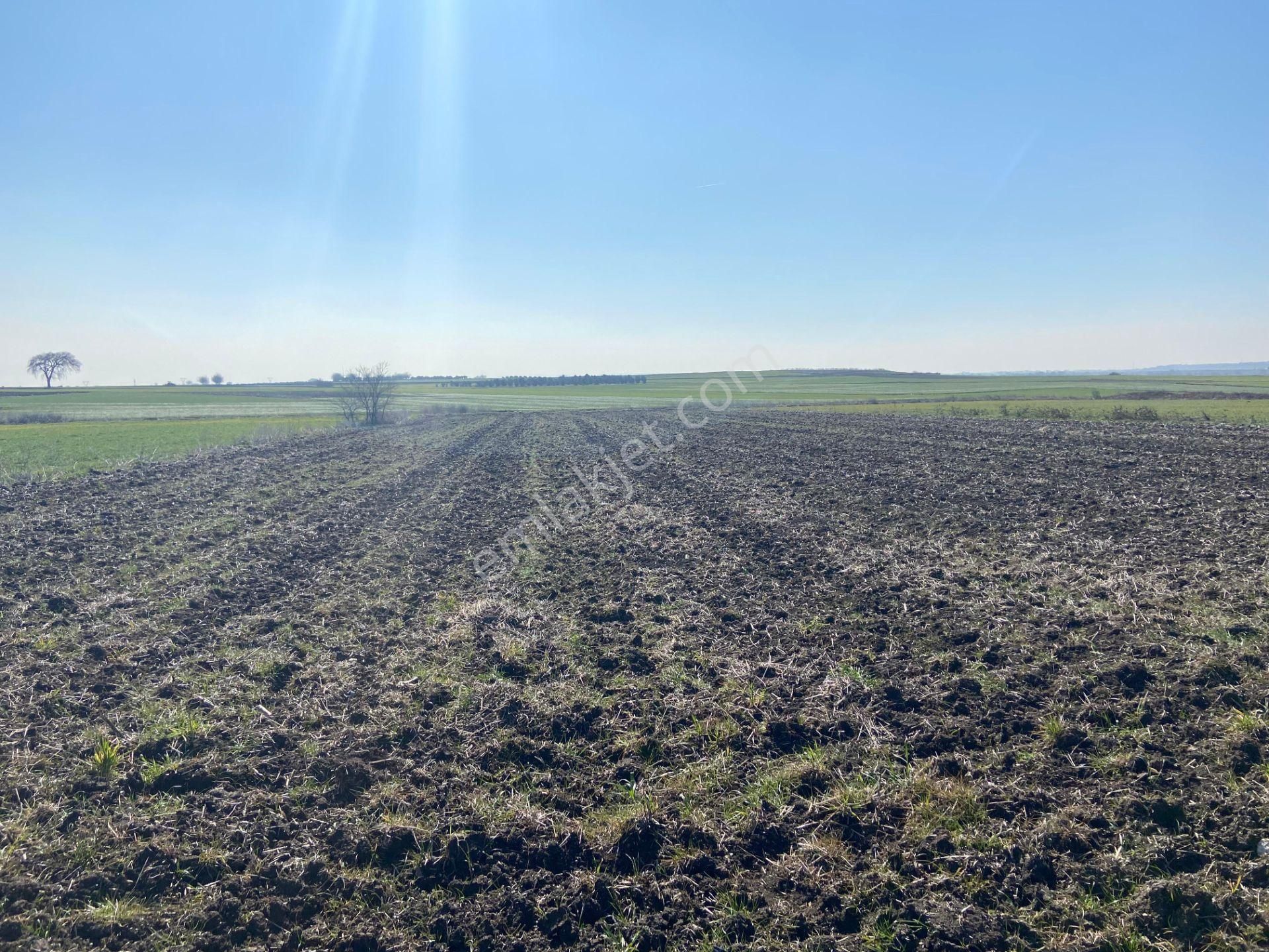 Bt Prestıge'den Yolu Olan Geleceği Parlak Acil Satılık Tarla - Görsel 12