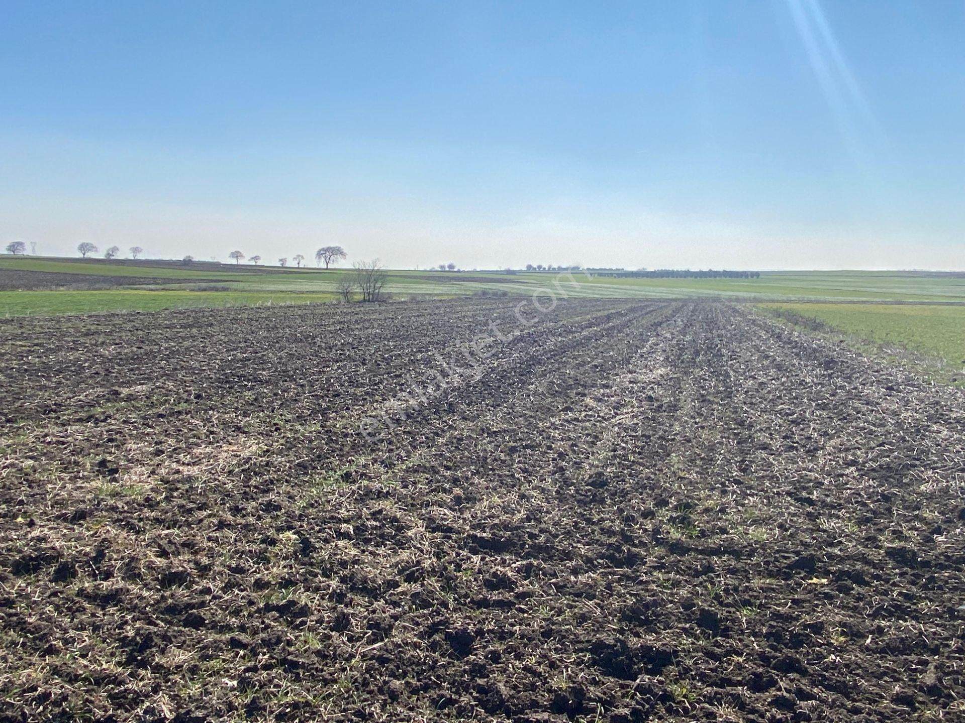 Bt Prestıge'den Yolu Olan Geleceği Parlak Acil Satılık Tarla - Görsel 2