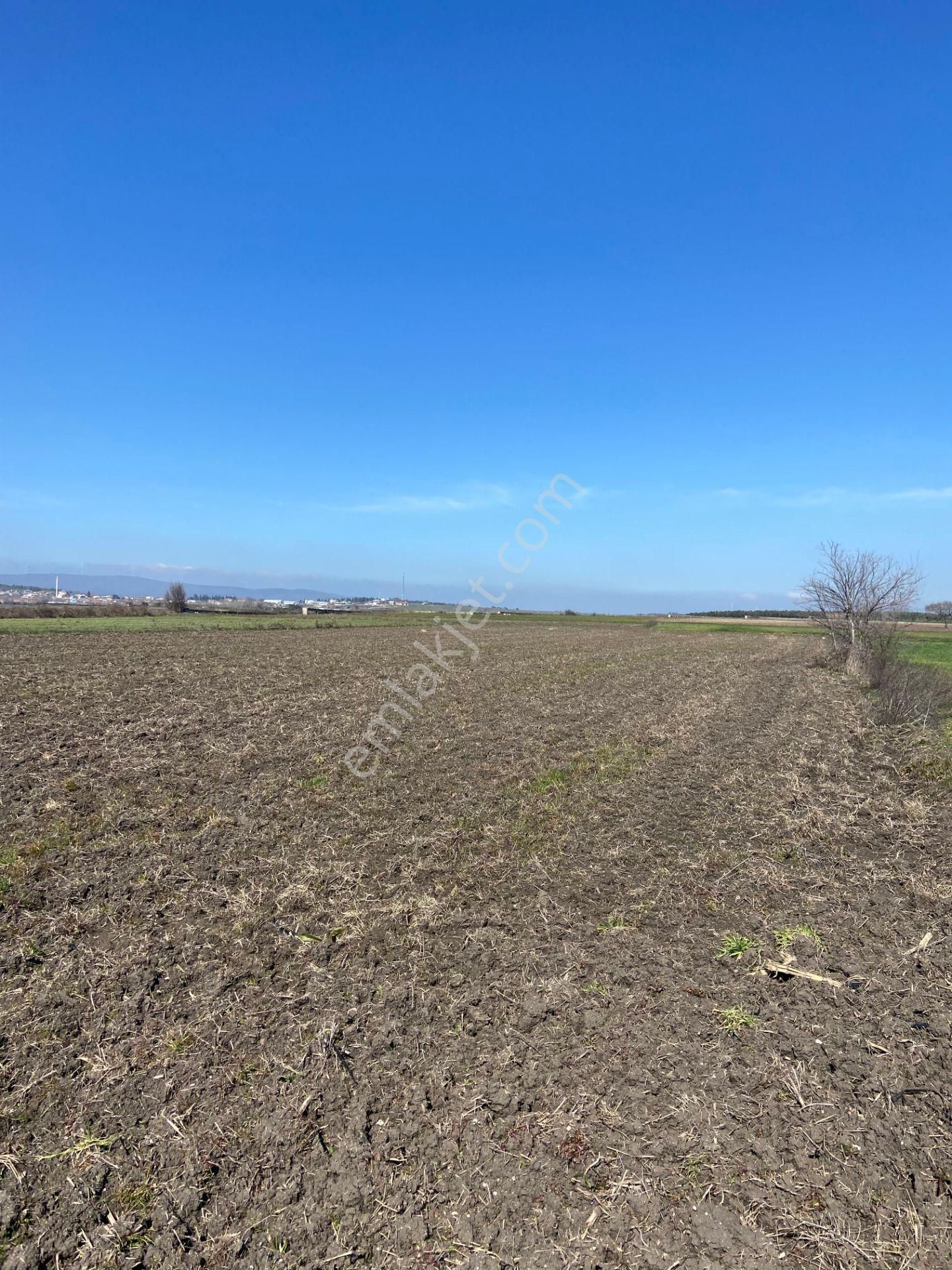 Bt Prestıge'den Yolu Olan Geleceği Parlak Acil Satılık Tarla - Görsel 10