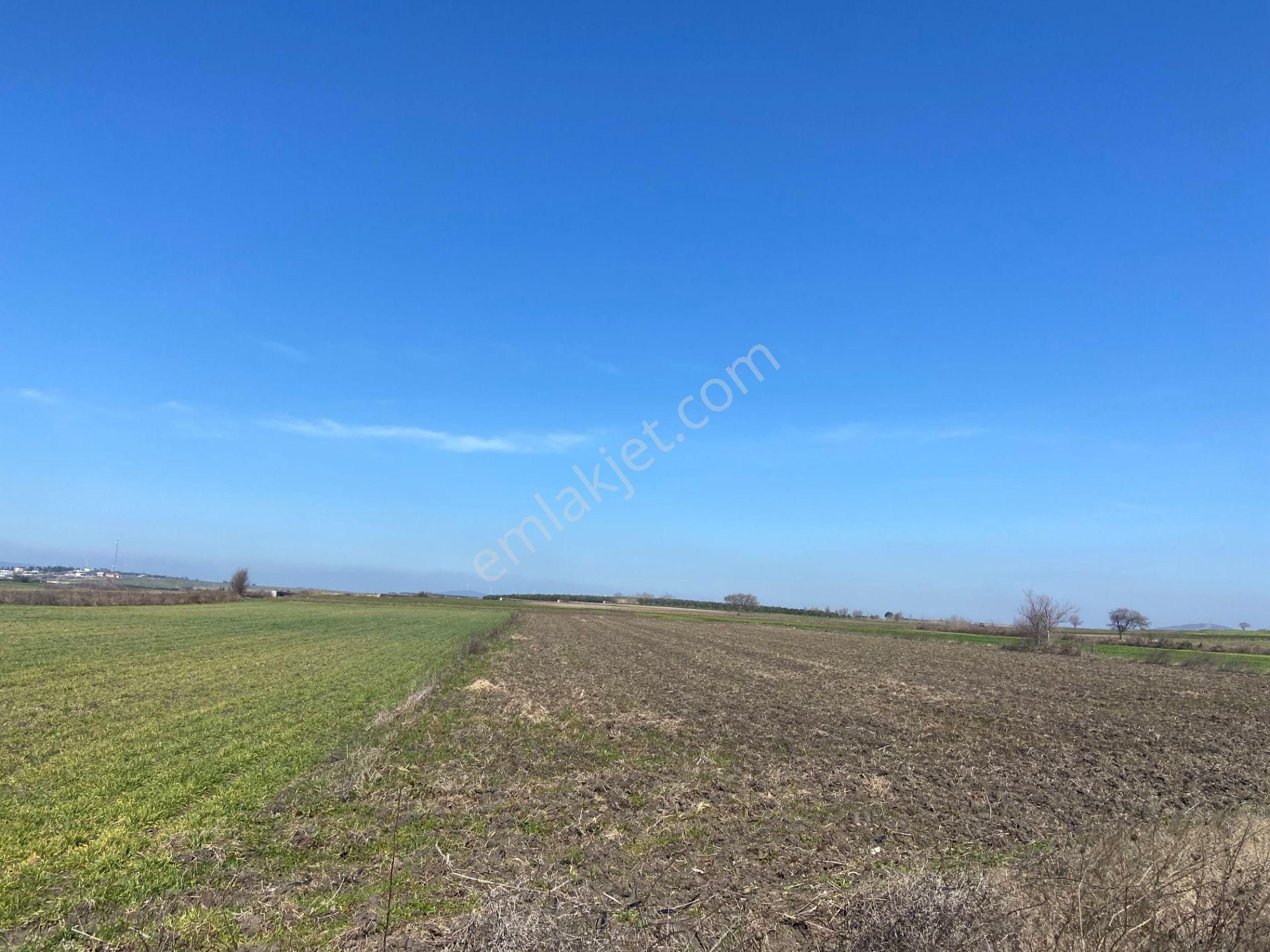 Bt Prestıge'den Yolu Olan Geleceği Parlak Acil Satılık Tarla - Görsel 5