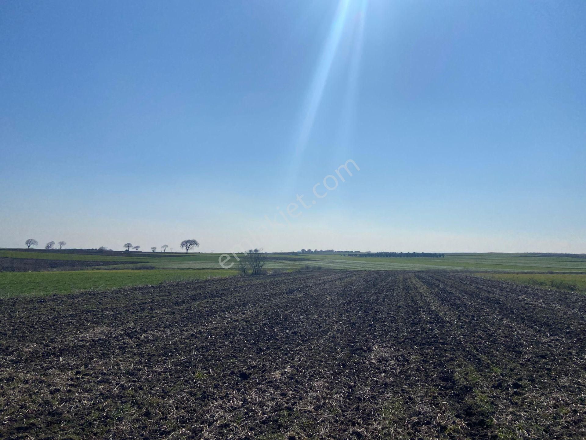 Bt Prestıge'den Yolu Olan Geleceği Parlak Acil Satılık Tarla