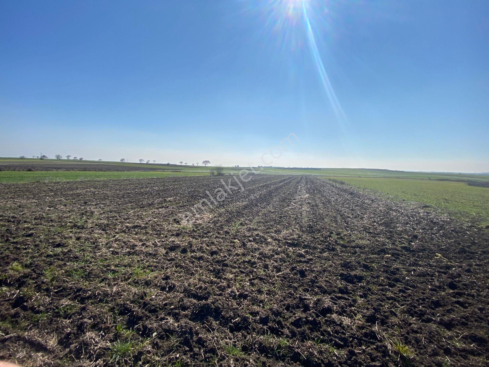 Bt Prestıge'den Yolu Olan Geleceği Parlak Acil Satılık Tarla - Görsel 8