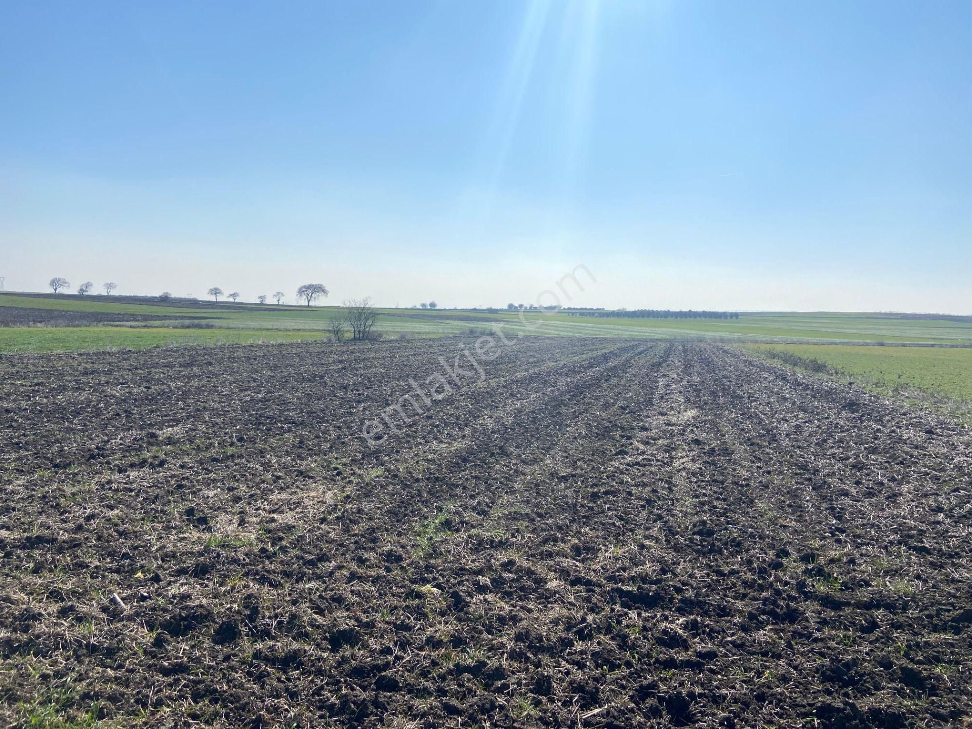Bt Prestıge'den Yolu Olan Geleceği Parlak Acil Satılık Tarla - Görsel 14
